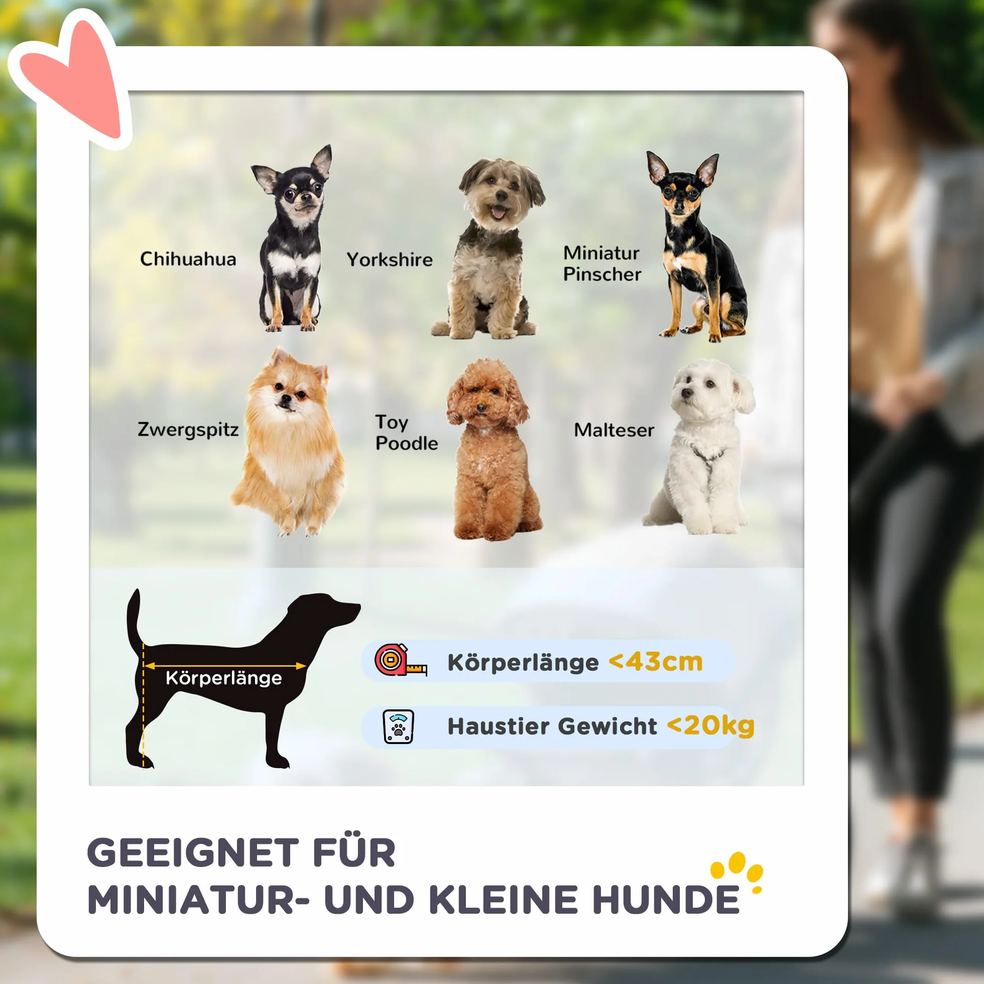 PawHut poussette pliante pour chien et chat avec réflecteurs, protection solaire, fenêtre en filet, panier de rangement