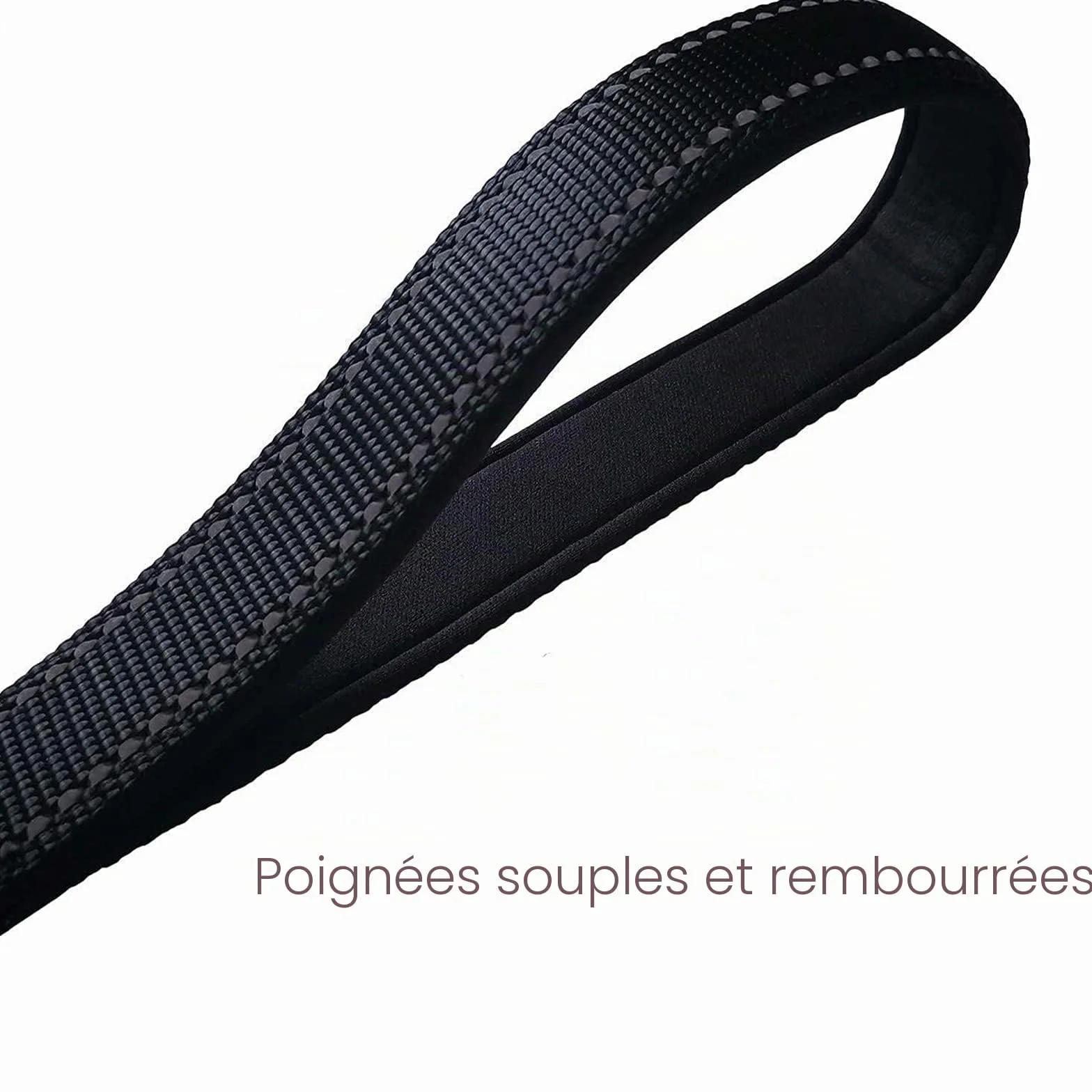 Laisse de Dressage à Double poignée 1,5 mètre Réfléchissante pour Chiens Grands et Moyens