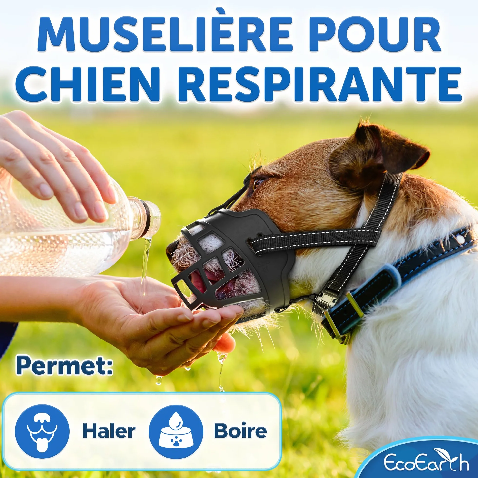 EcoEarth Muselière pour Chien - Muselière Panier Durable pour Chiens de Grande Taille - Grande, Noire - Protège-Dents réglable et Respirant pour empêcher Les morsures et Les aboiements