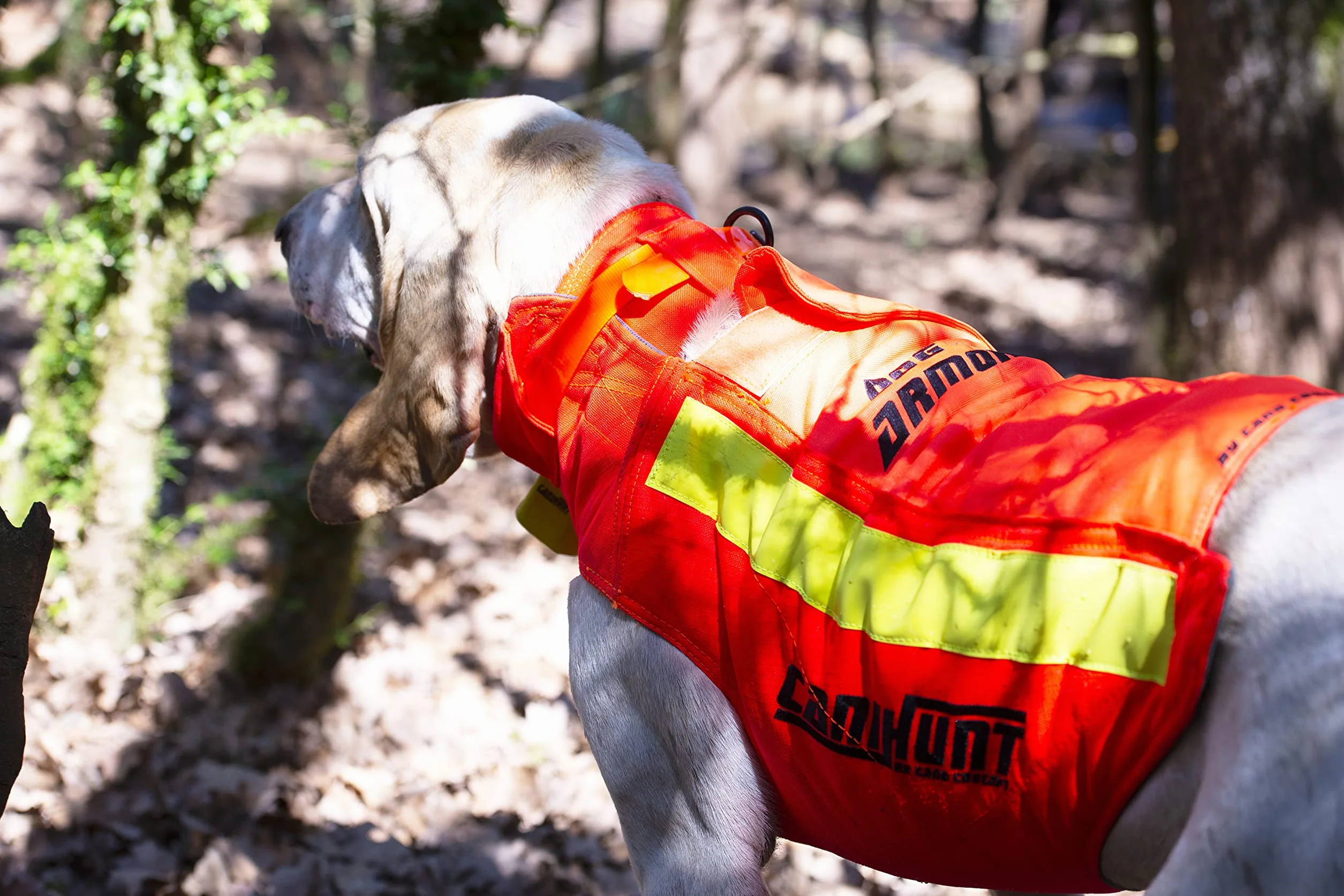 Gilet CANIHUNT Protection Dog Armor Orange V3 Anti Perforation Sangliers pour Chien