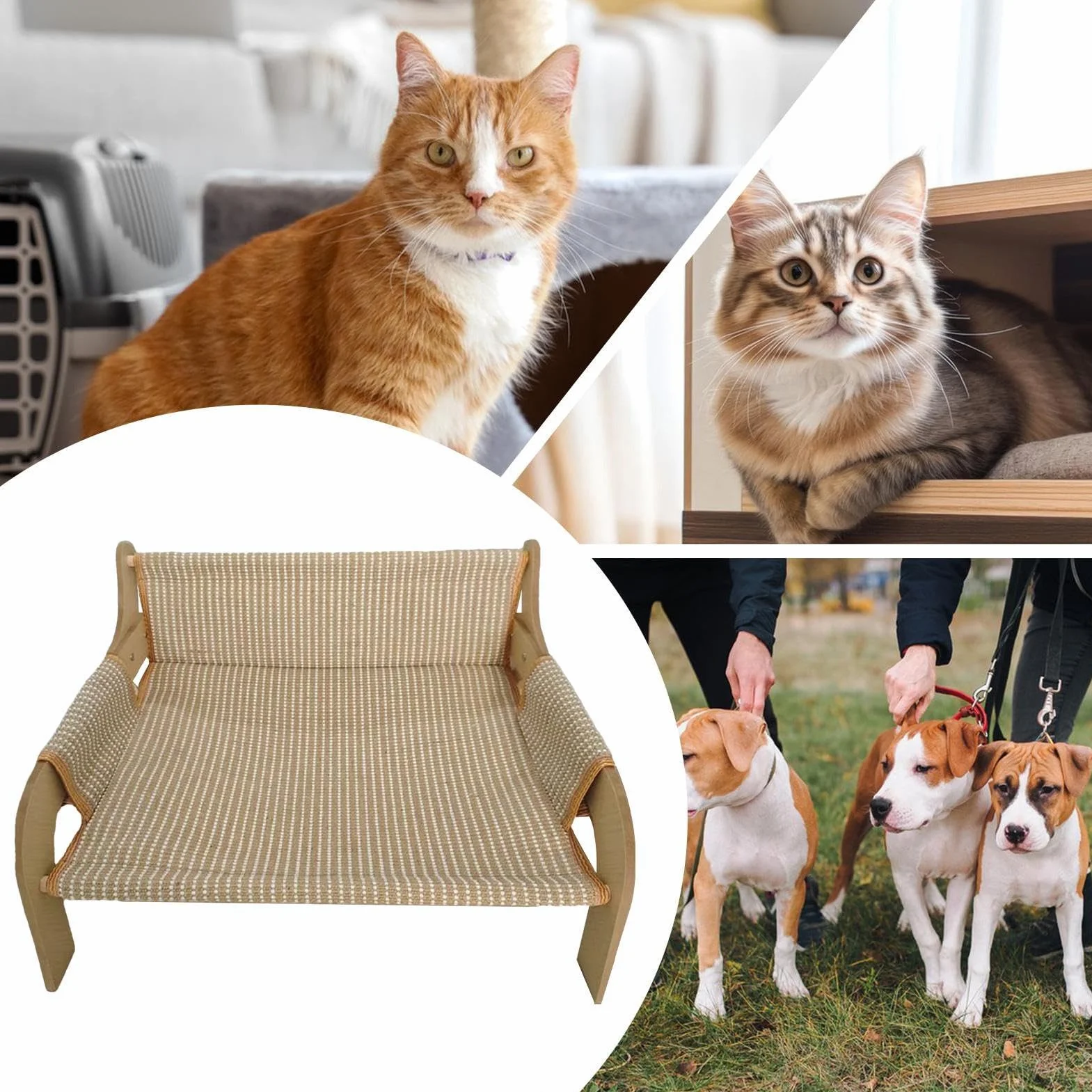 Canapé lit surélevé respirant pour chiens et chats, intérieur extérieur