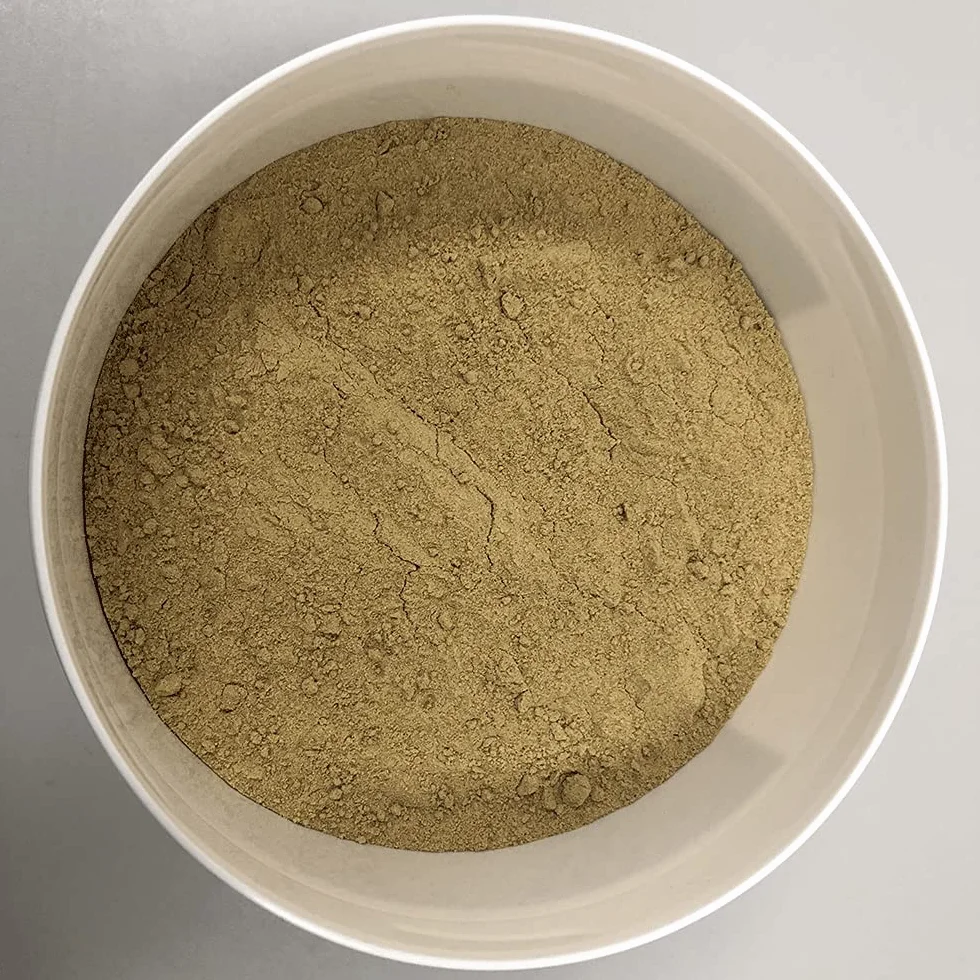 Poudre de moule à lèvres vertes pour chevaux pour soutenir les articulations et les muscles - 1000 grammes