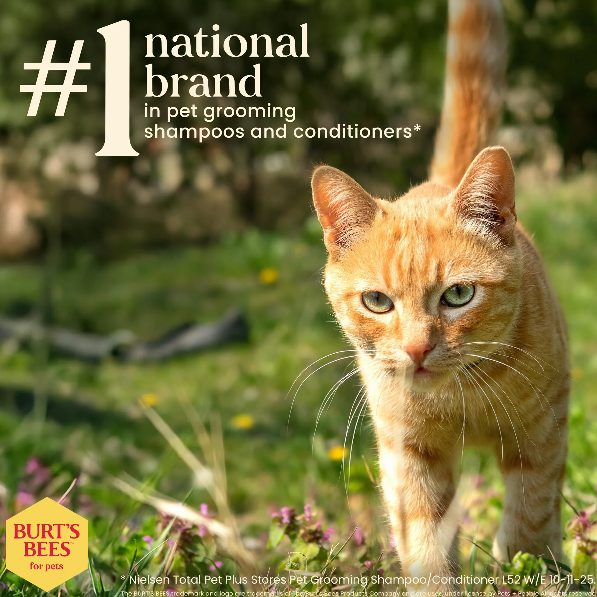 Burt's Bees Shampooing hypoallergénique pour chat Soin naturel