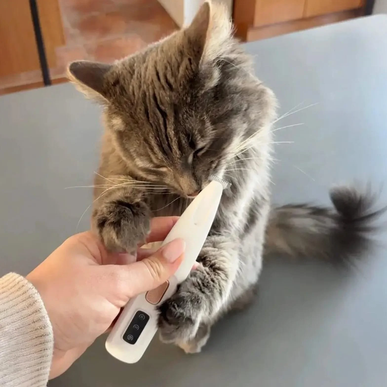 Patounet Tondeuse de Precision Pour Chat 35 db À Faible Bruit Lames Douces Sûres Hypoallergéniques Rechargeable USB Compact