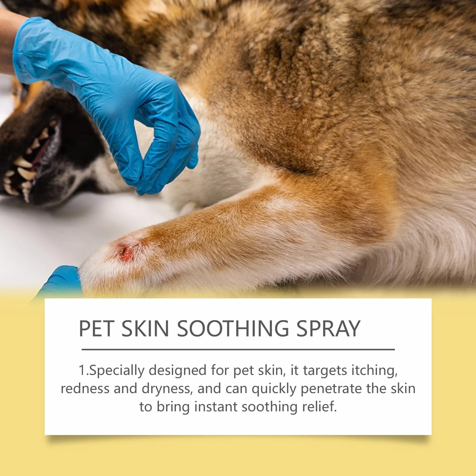 Spray De Guérison pour Animaux, Pet Wound and Skincare Spray, Pansement Liquide pour Plaies Chien