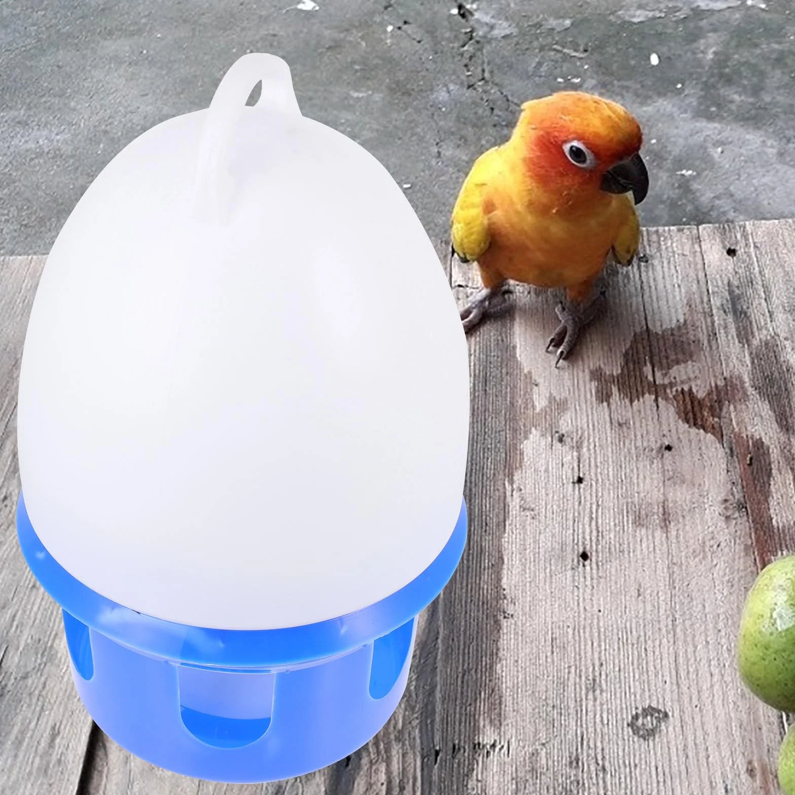 Artibetter Abreuvoir Suspendu pour Pigeons 10l avec Poignée Bleu et Blanc, Distributeur d'eau en Plastique pour Oiseaux