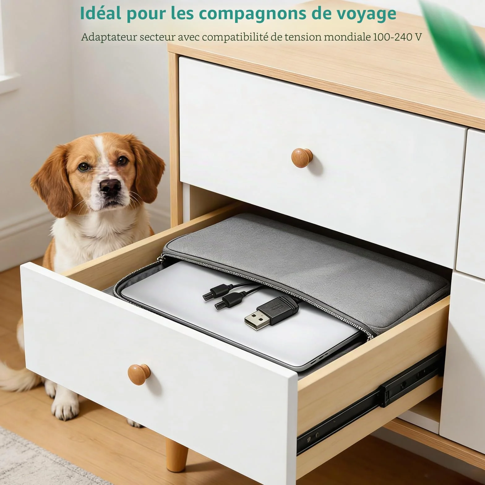 Câble d'alimentation de rechange pour collier Petsafe, compatible PetSafe Remote Trainer 100/300/600/800 m