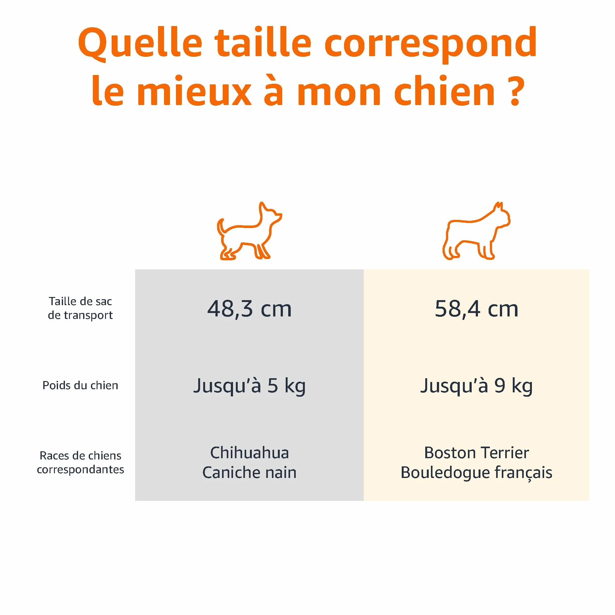 Amazon Basics Caisse de transport pour Chat 2 portes Bleu L 48 x 32 x 25 cm