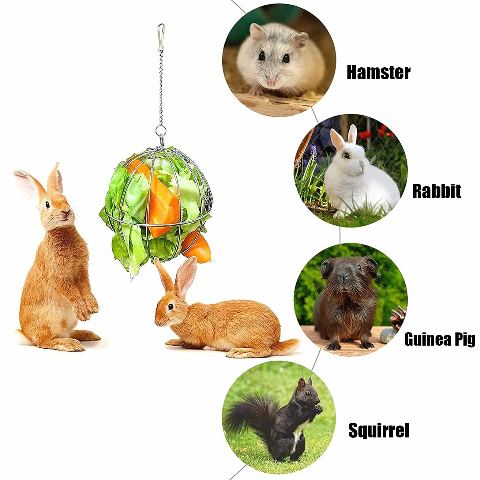 Distributeur de Foin avec Crochet Réglable Boule Mangeoire pour Lapin - Diamètre 8 cm