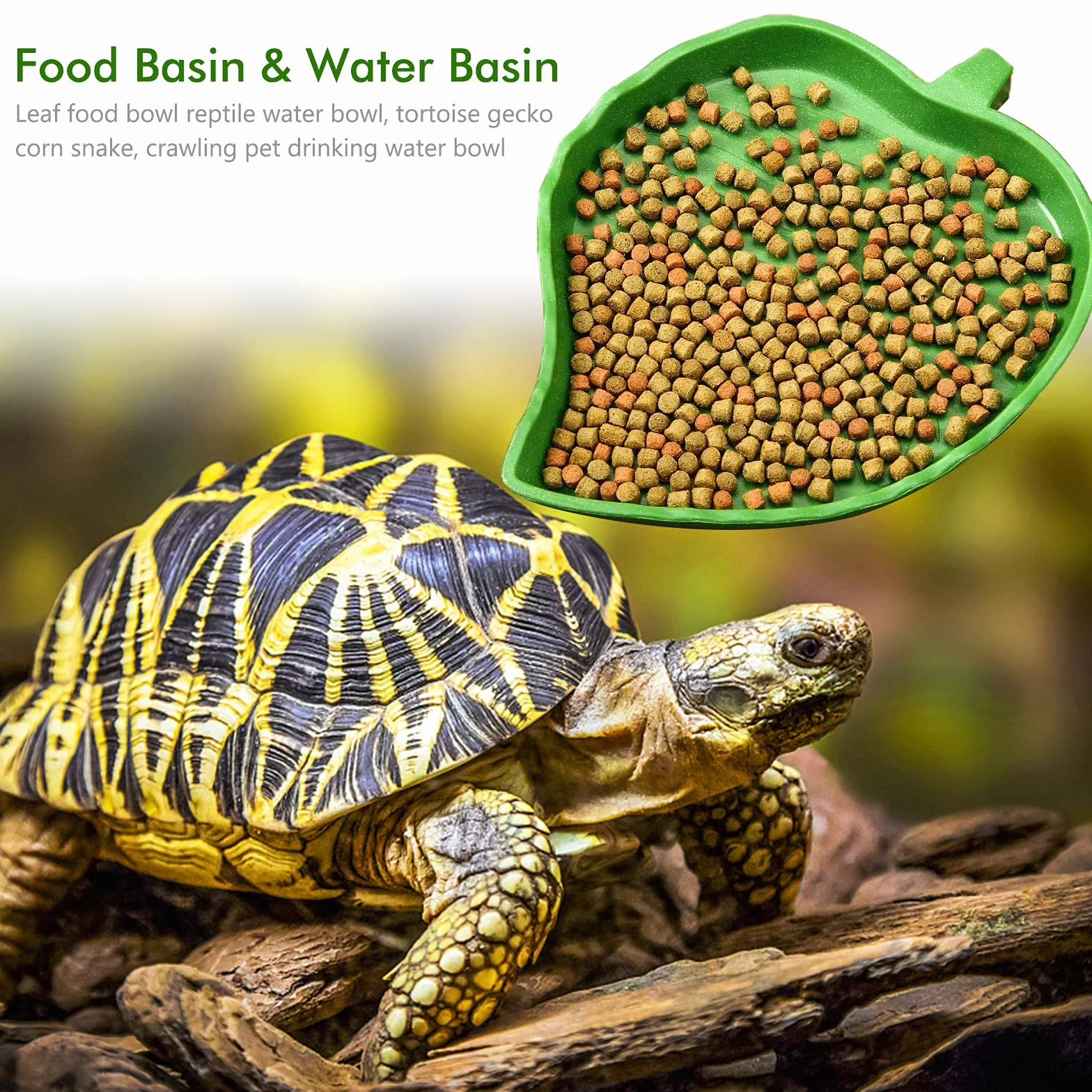 Abreuvoir Tortue Plat Reptile 2 Pièces Bol d'eau pour Petits Animaux Domestiques Lézard Araignée Scorpion Vert