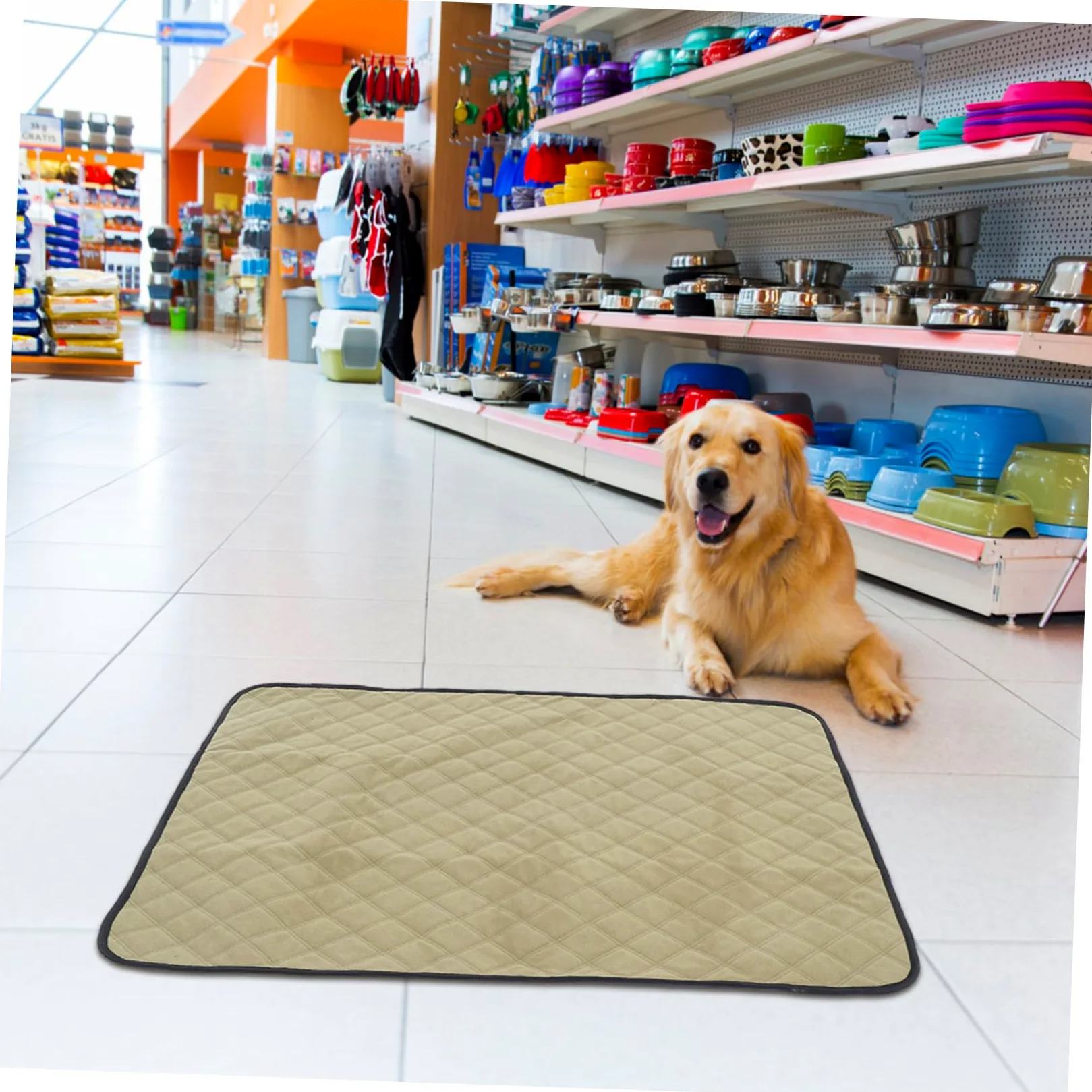 Toyvian 2pièces Tapis Urine Lavable Et Réutilisable pour Chien Tapis De Propreté Imperméable pour Parc Et Cage Apprentissage Propreté pour Chiots