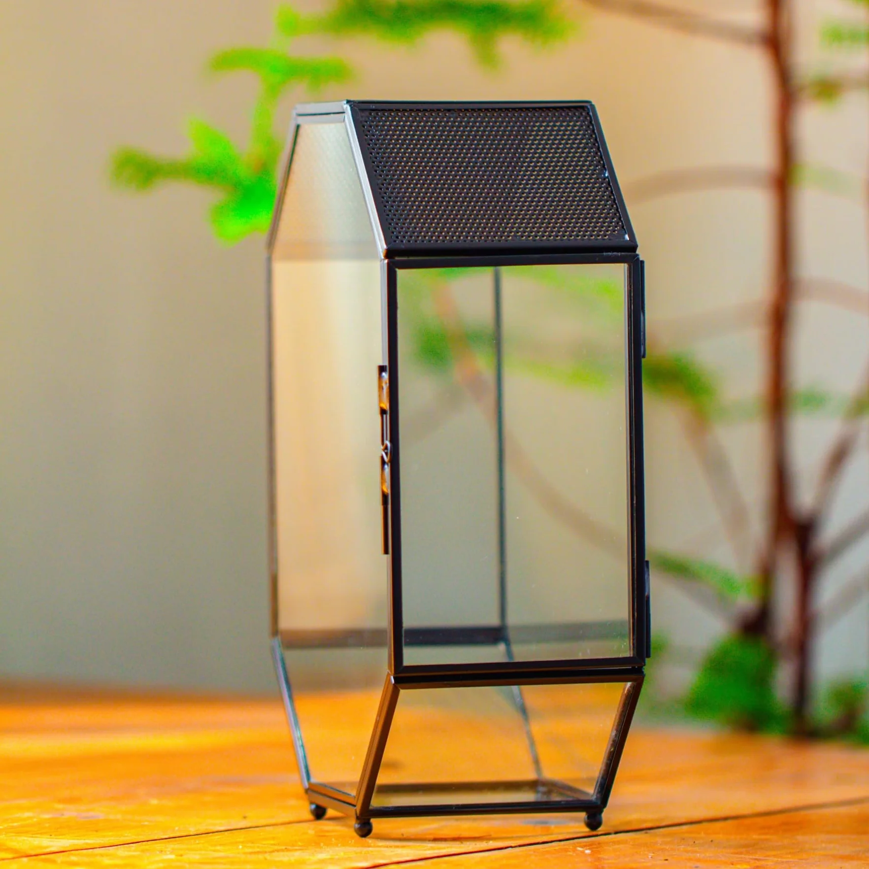 Terrarium en Verre Octogonale 15,8x8x22,1 cm avec Maille et Porte pour Araignées Insectes Petites Plantes