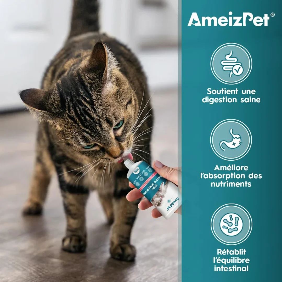 AmeizPet Pâte Gastro Intestinale pour Chats, 100 g – Complément Digestif pour la Santé Intestinale