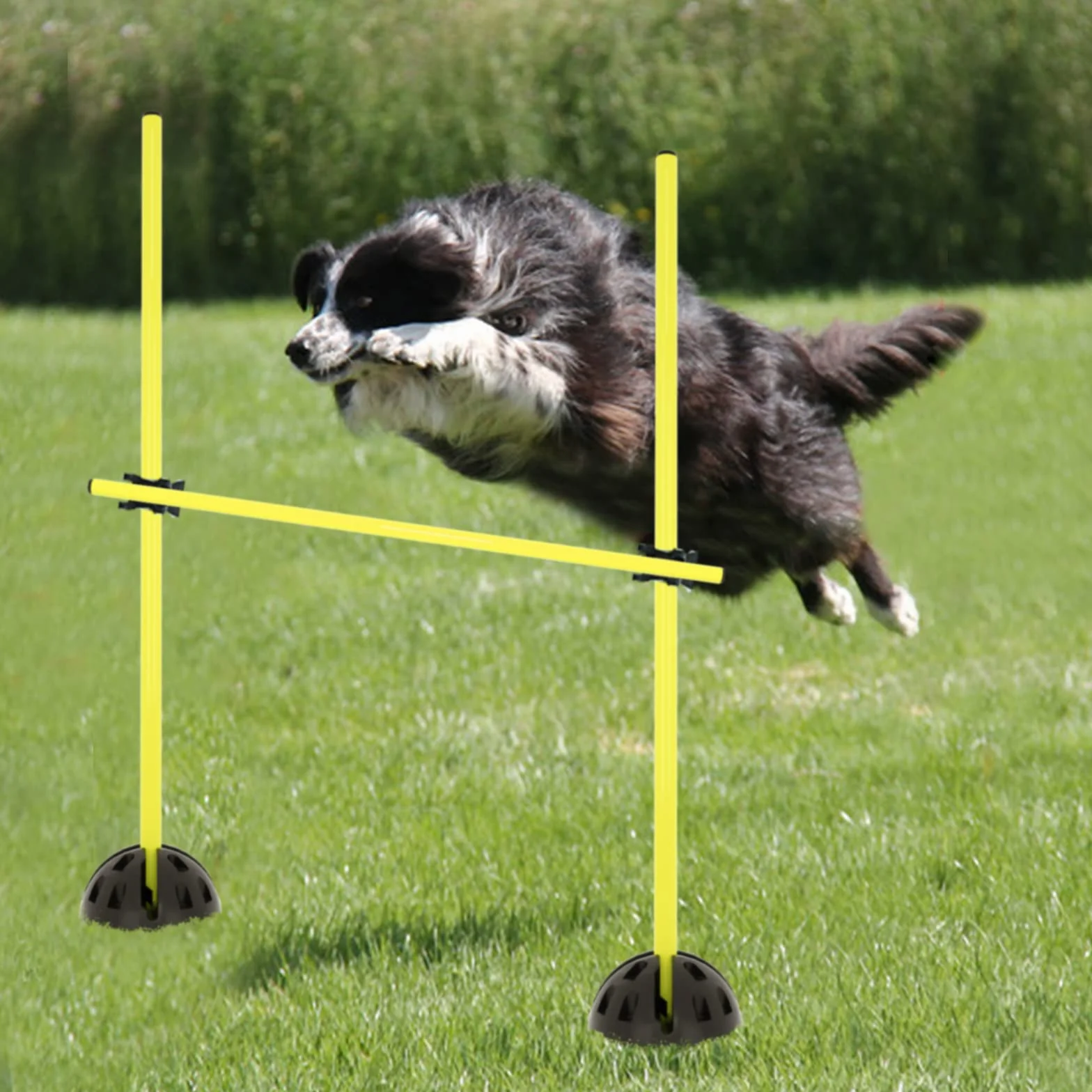 LILIIN Kit de barres de saut 100 cm pour entraînement d'agilité et coordination - 15 barres + 10 clips