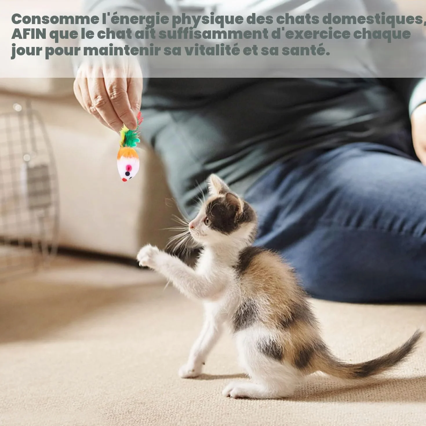 Chat Souris Jouet Chat Interieur avec Hochet Sons 10 Pièces