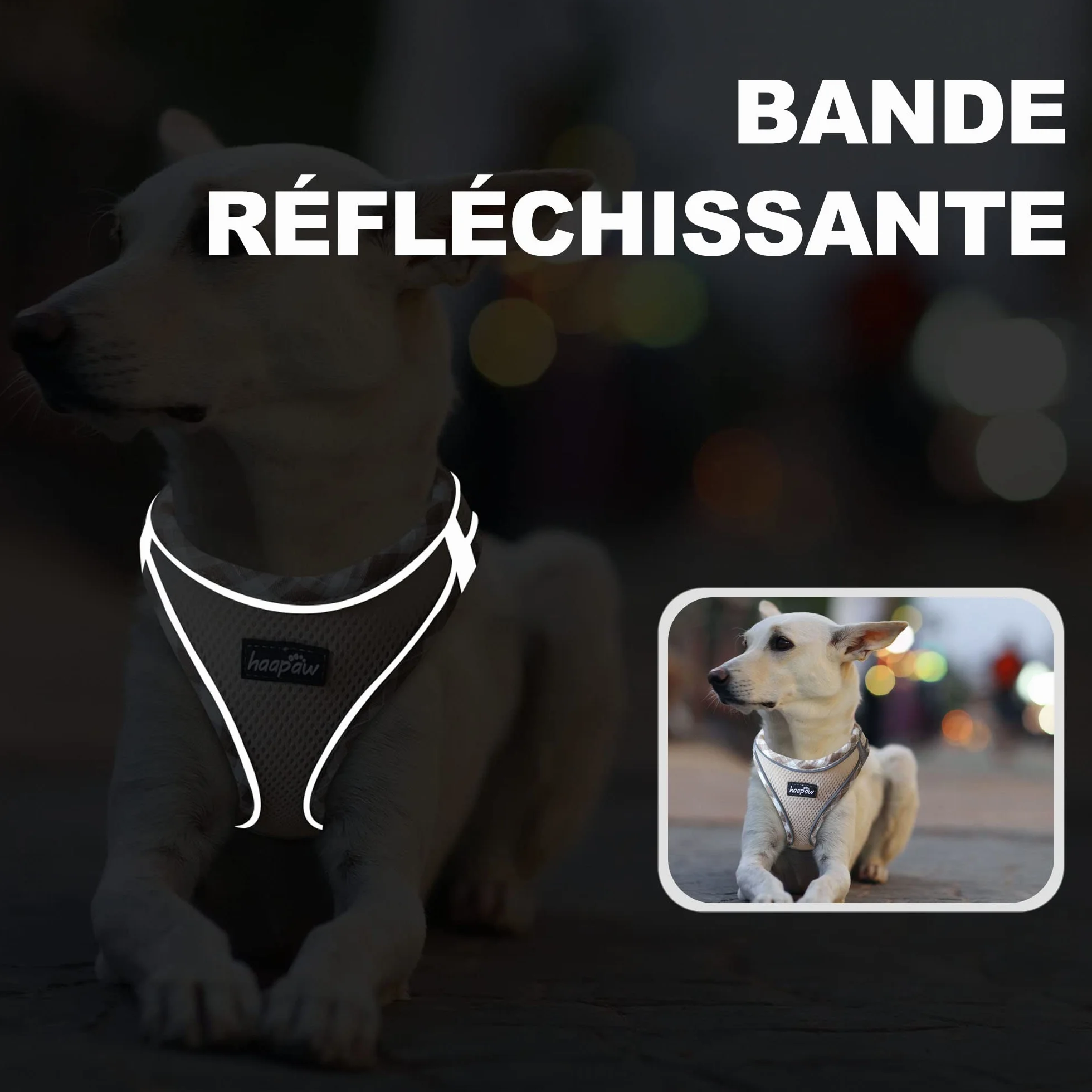 Haapaw Ensemble Harnais et Laisse pour Chien - Harnais Réglable Réfléchissant avec Gilet Rembourré Épais pour Chiens Taille XS et Moyenne