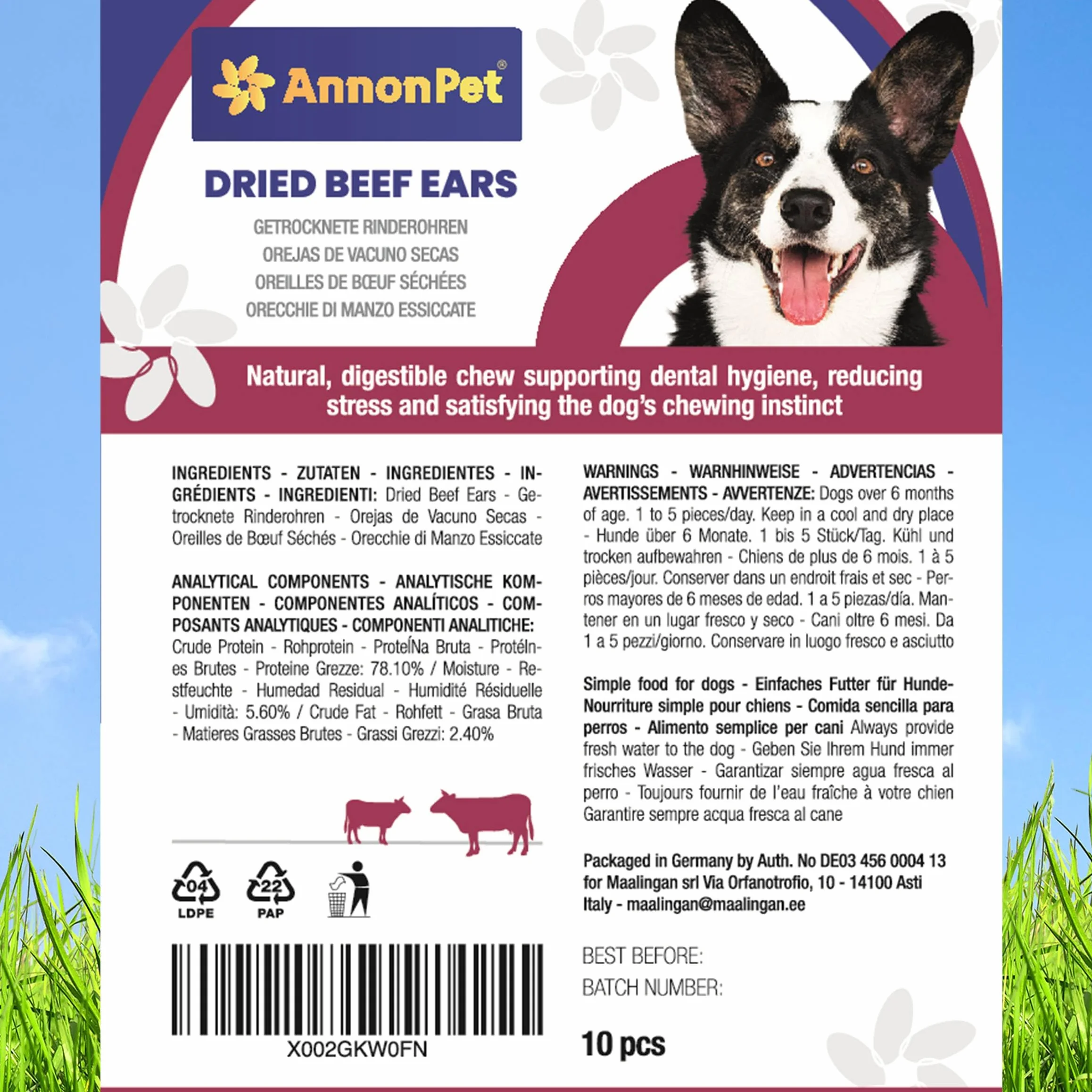 Lot de 10 oreilles de bœuf séchées pour chiens - Articles à mâcher naturels et faciles à digérer - Riche en protéines, sans additifs - Idéal pour les soins dentaires et la réduction du stress