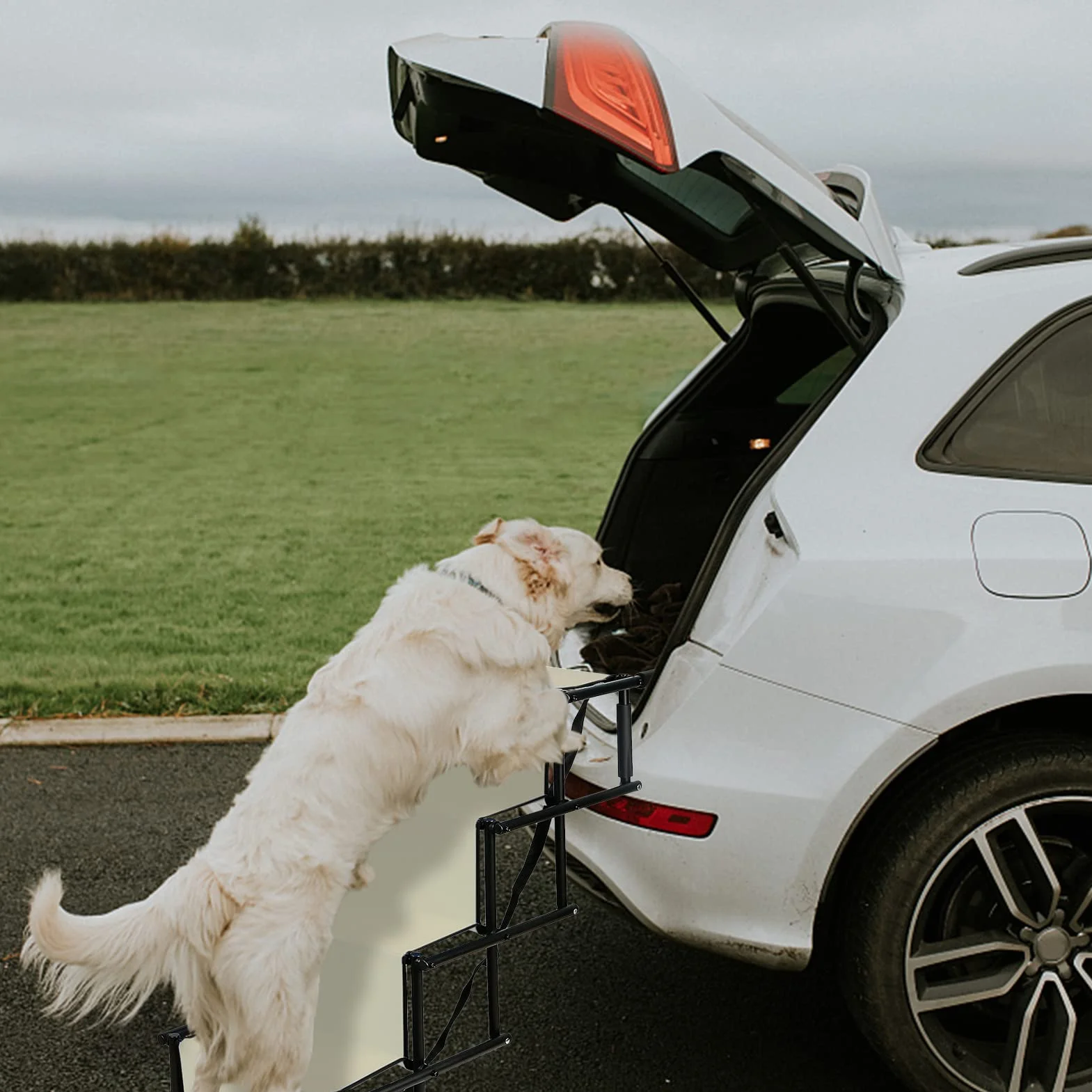 Rampe de Voiture Pliable pour Chien, Escalier à 4 Marches pour Animaux de Compagnie, Utilisable pour Tous Les véhicules, Chargable jusqu'à 75 kg Imperméable Polyester Oxford Métal (Beige)