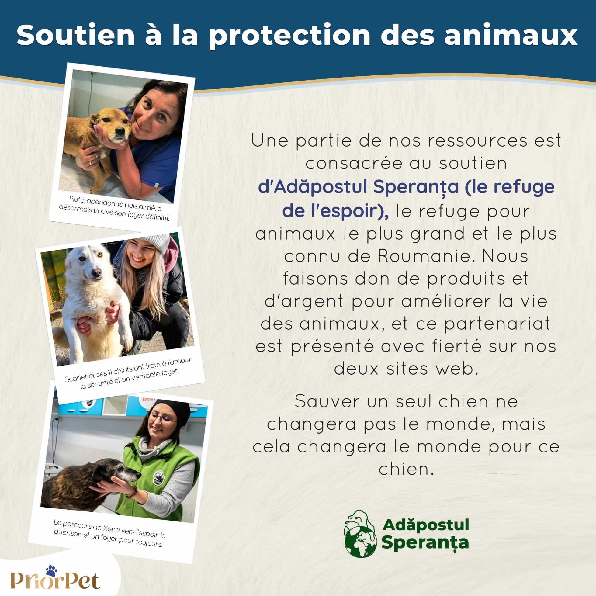 Rampe pour Chien Pliable et Réglable 18-53 cm - Surface Antidérapante - Bois de Bouleau Naturel