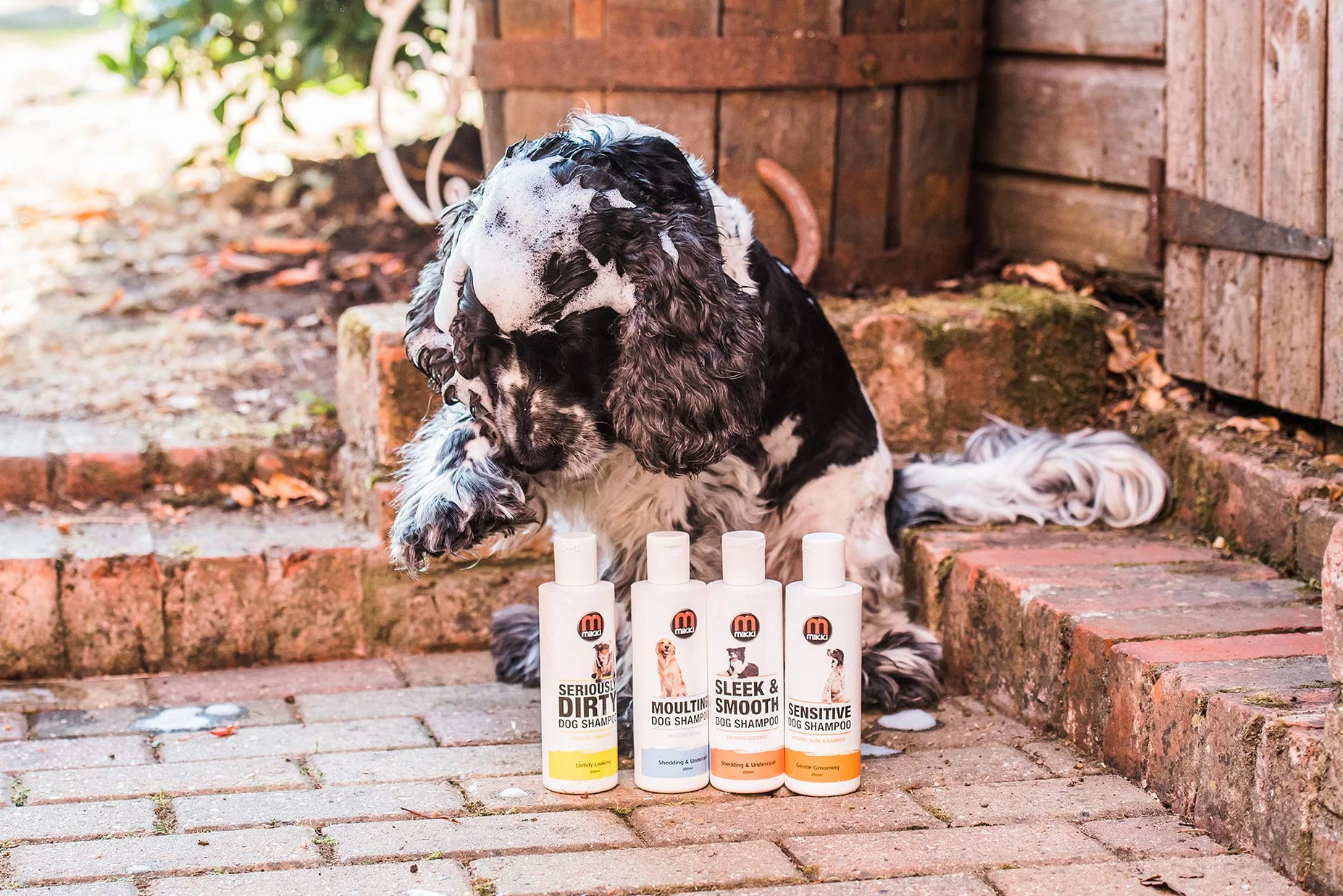 Mikki Shampooing de Toilettage pour Chien Qui Mue Parfum Mangue Douce 250 ml