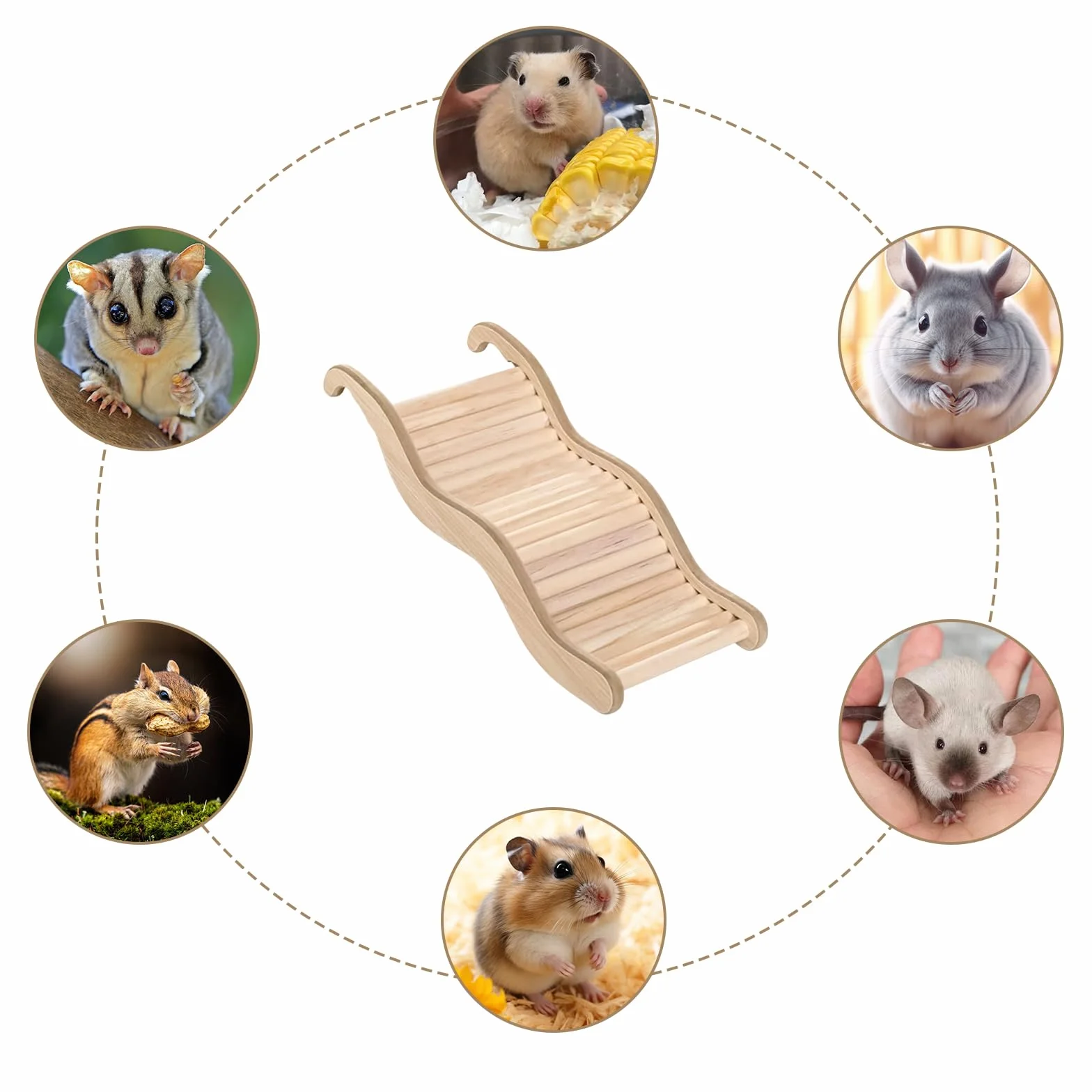 Jouet Cochon d'Inde, Jouet Hamster Escalier pour Hamster, Hamster Jouet en Forme De Vague, Jouets pour Hamster Et Accessoires pour Cage à Rats pour Petits Animaux