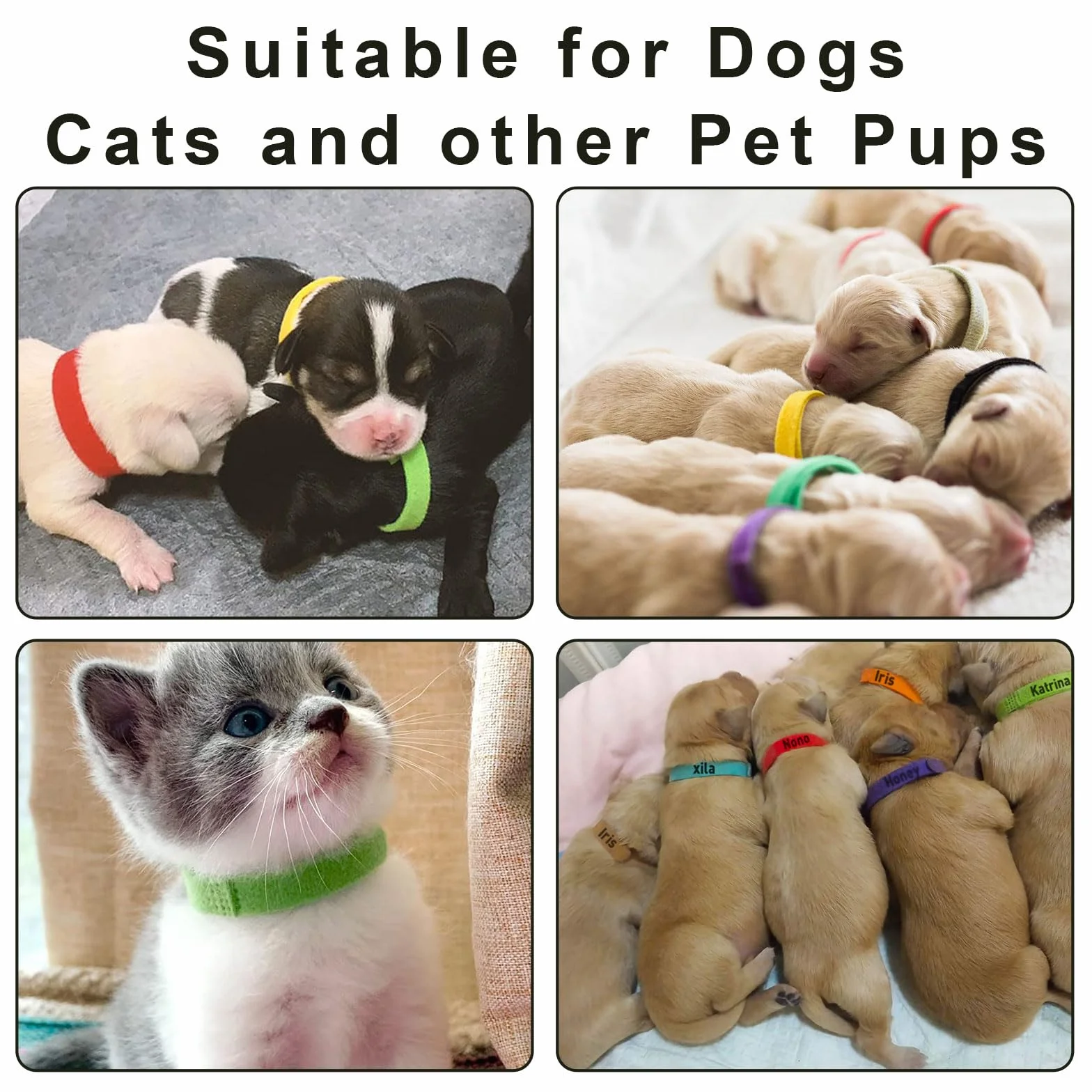 Colliers d'identification pour chiots réglables - Lot de 12 couleurs