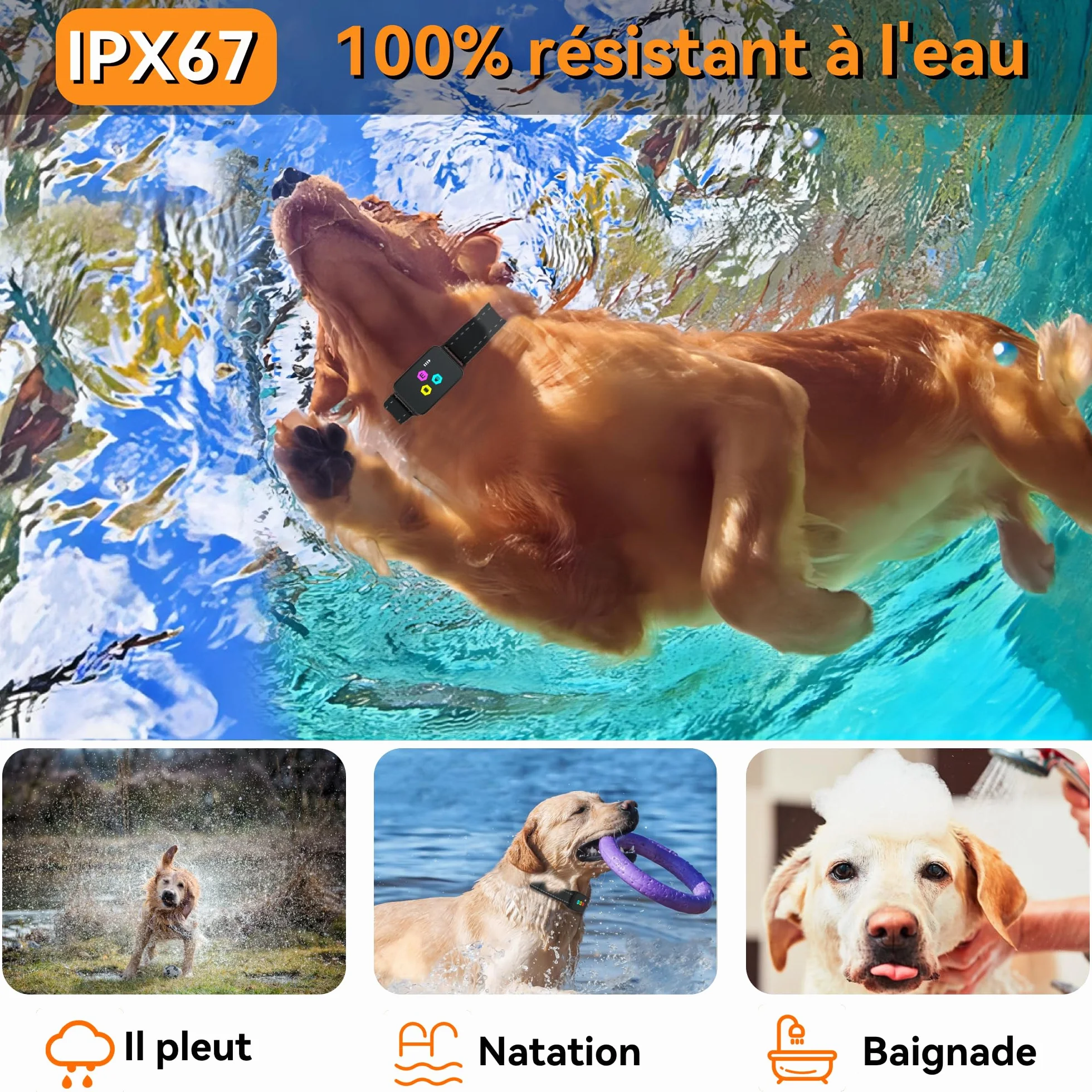 Collier de Dressage pour Chien Meloive, Portée 3000 Mètres, 3 Modes Vibration/Choc/Son, Rechargeable
