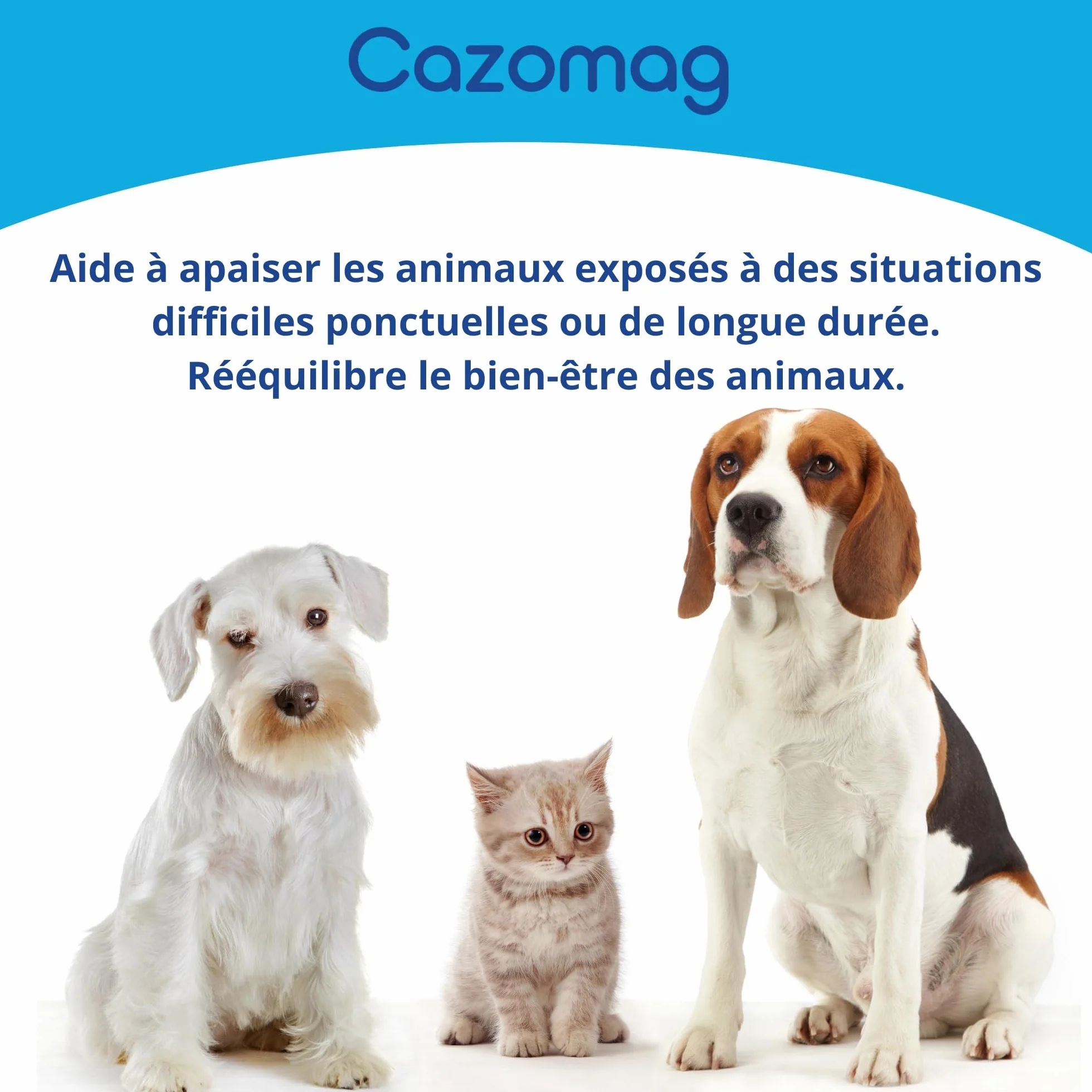 Cazomag 75 Aliment complémentaire apaisant Chien Chat 30 gélules appétentes Anidev