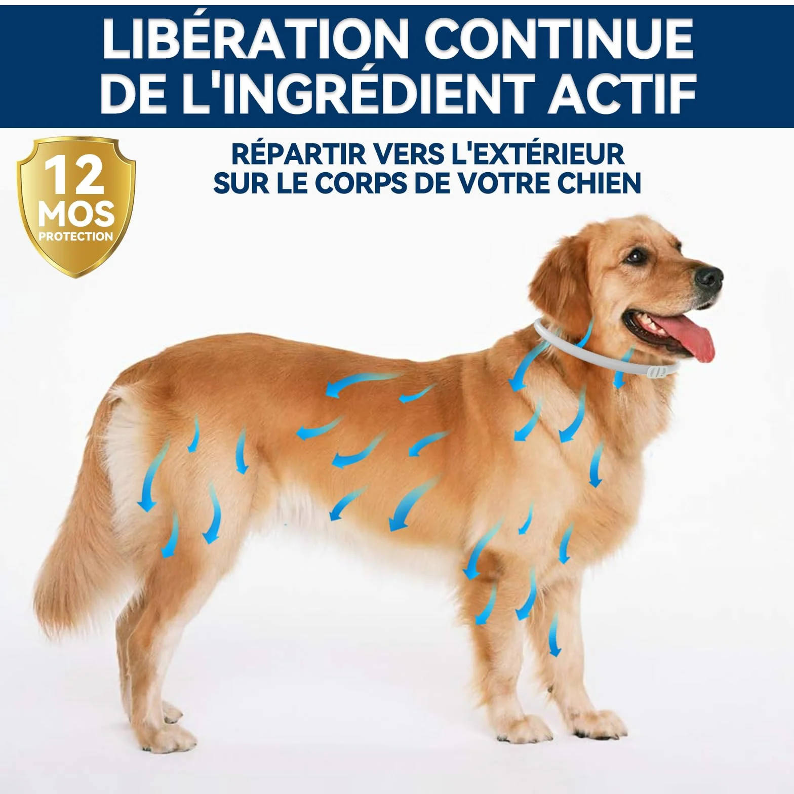 Collier Anti Puces pour Chien Réglable 63.5CM 2PACK, Résistant à l'eau, Huiles Essentielles 100% Naturelles