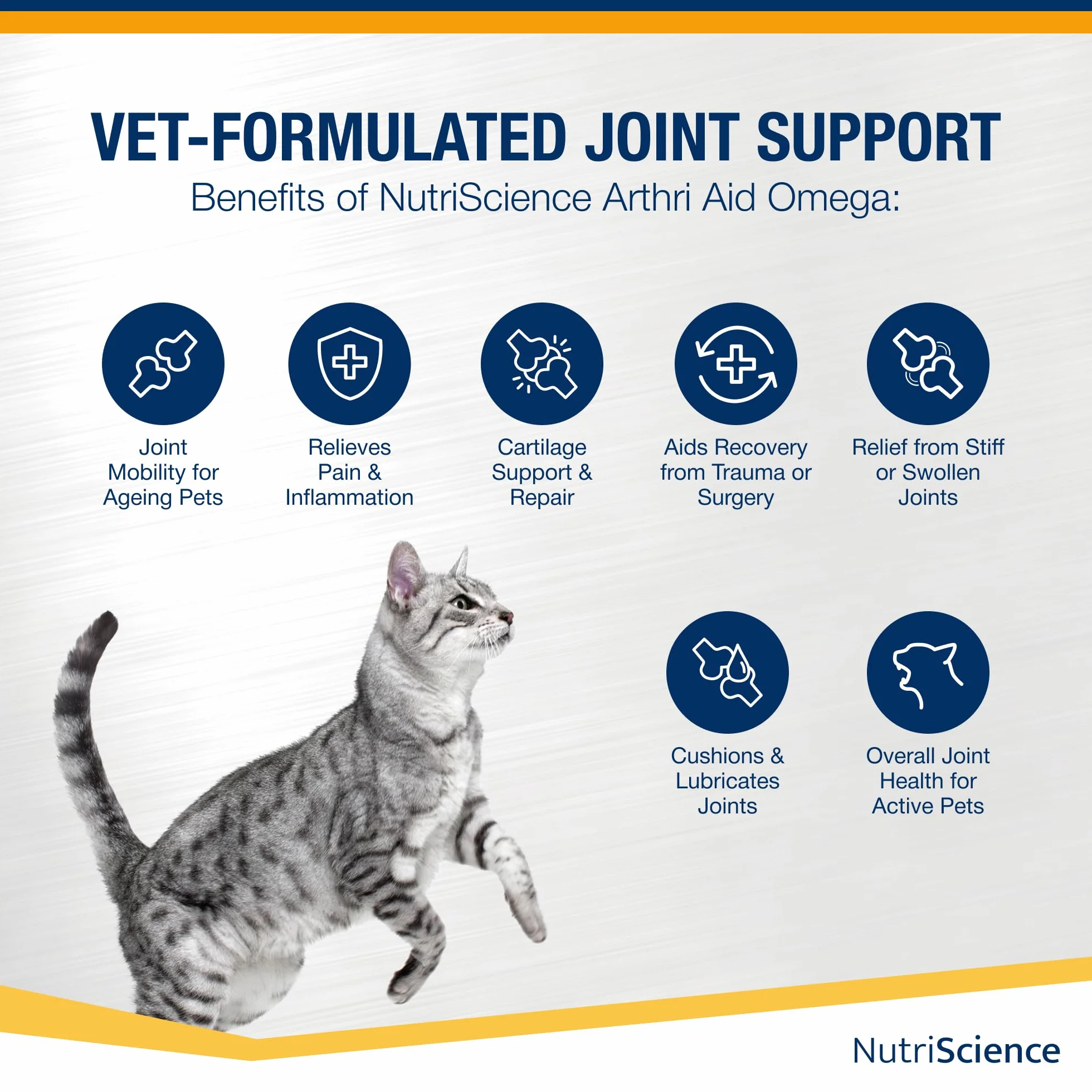 NutriScience ArthriAid Omega Cat Gel Saveur saumon complément articulations chats 50 ml glucosamine chondroïtine MSM oméga 3