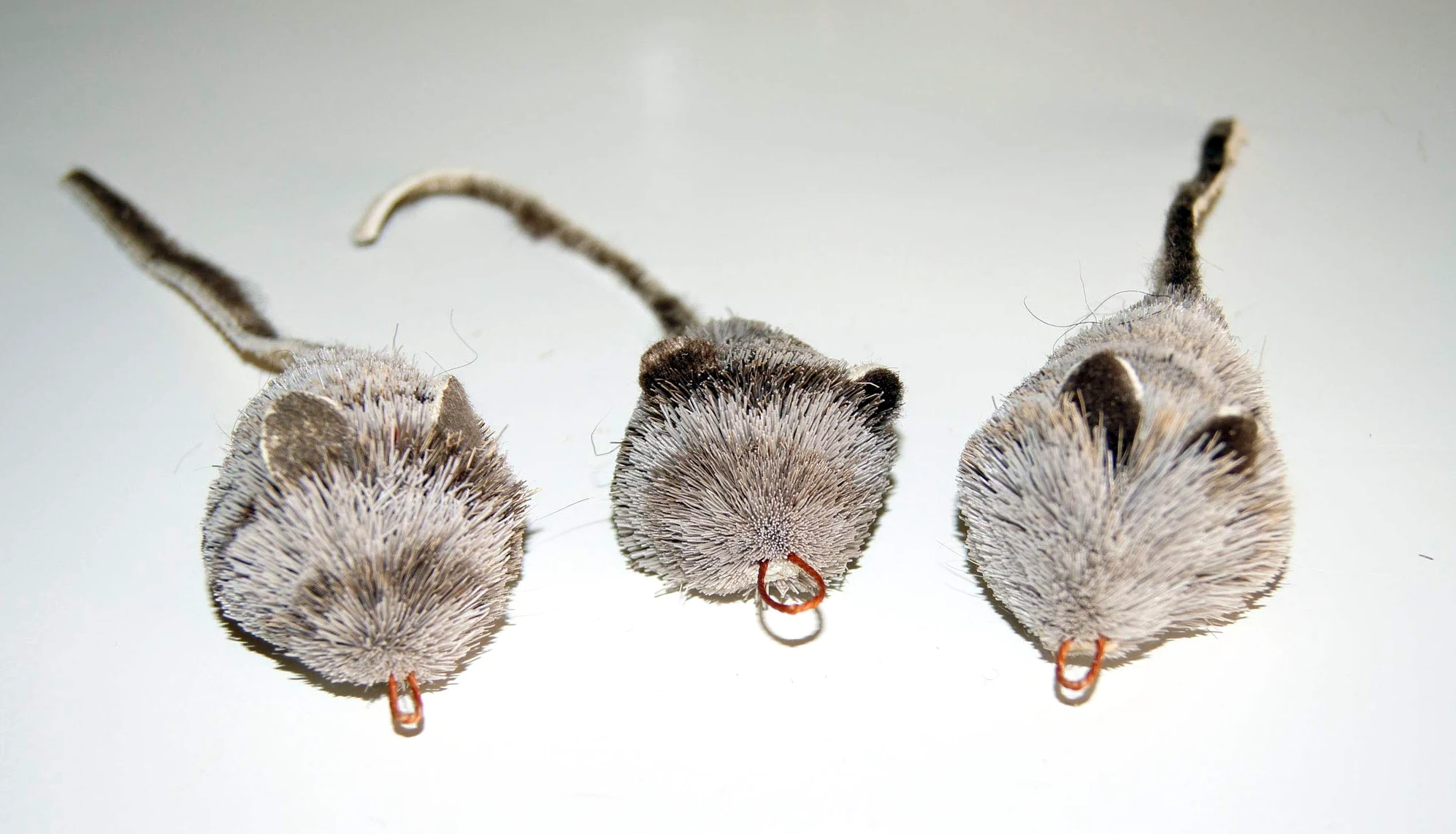 Fun Rat Pack de 3 recharges pour souris et souris – Compatible avec les baguettes Wildcat et les oiseaux populaires