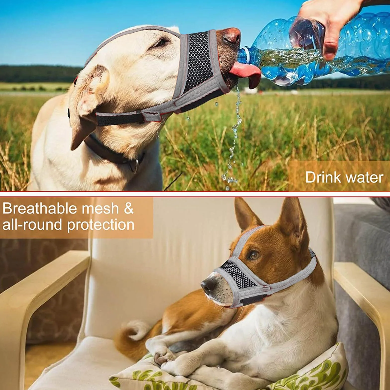 JSTHHTT Muselière pour Chien 2 Pièces, Muselière pour Petits Chiens de Taille Moyenne, Muselière pour Chien en Maille Douce et Respirante, Anti-Mastication, Aboiement, (L)