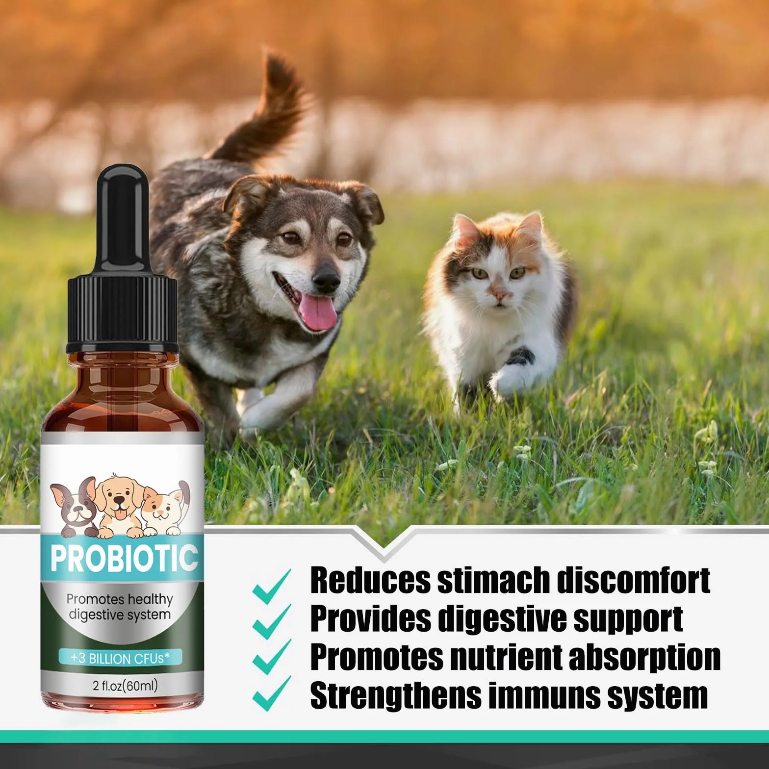 Probiotiques Chien Chat 60ML Antibiotiques pour Chats Soulagement Constipation