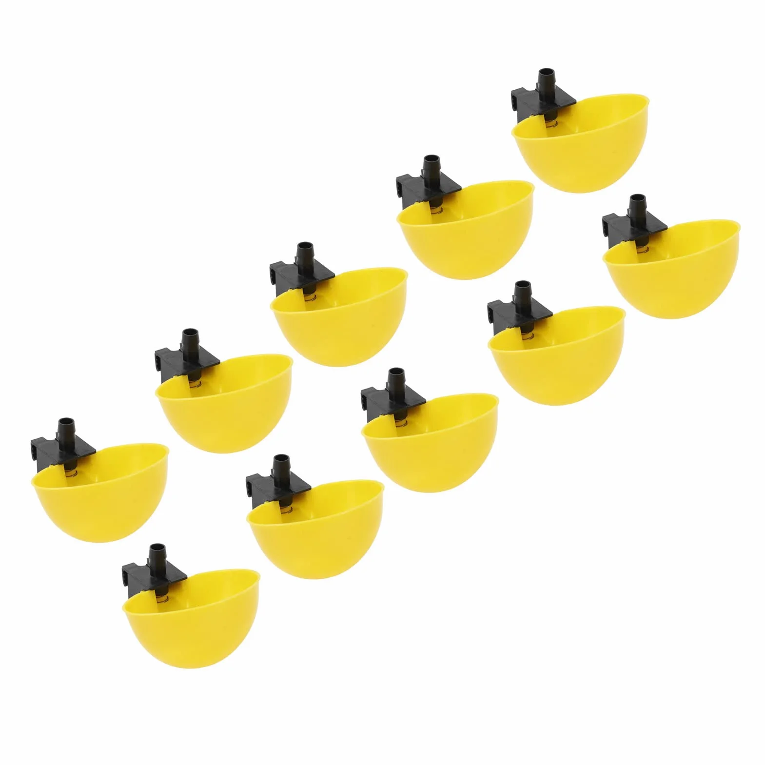 Bol à abreuvoir pour oiseaux 10 pièces distributeur d'eau automatique grande capacité