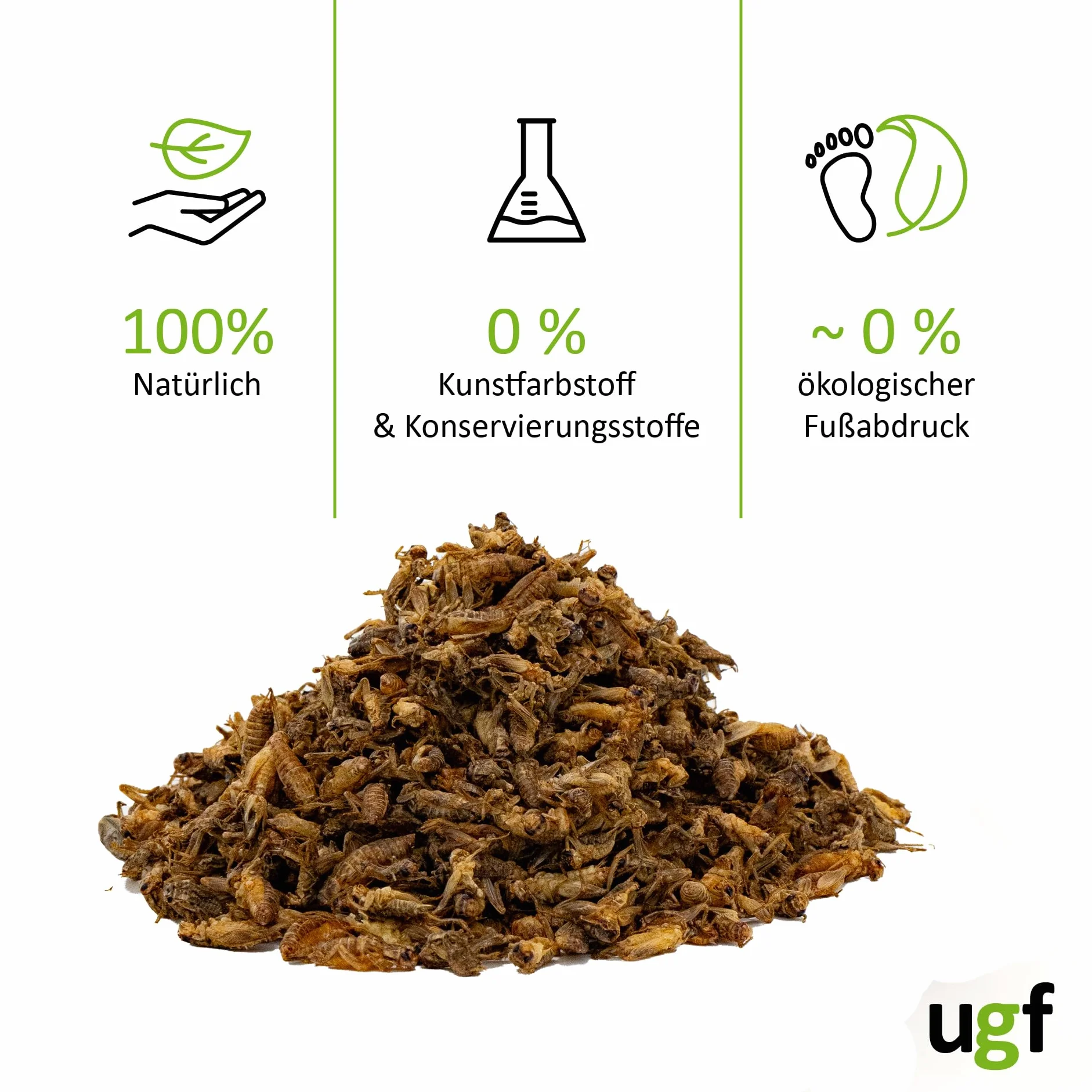 UGF - Grillons séchés (Petits) - 80 g en Pot de 500 ML, Insectes, Nourriture pour Oiseaux Sauvages (Toute l'année), Tortues, hérissons, lézards, Poissons
