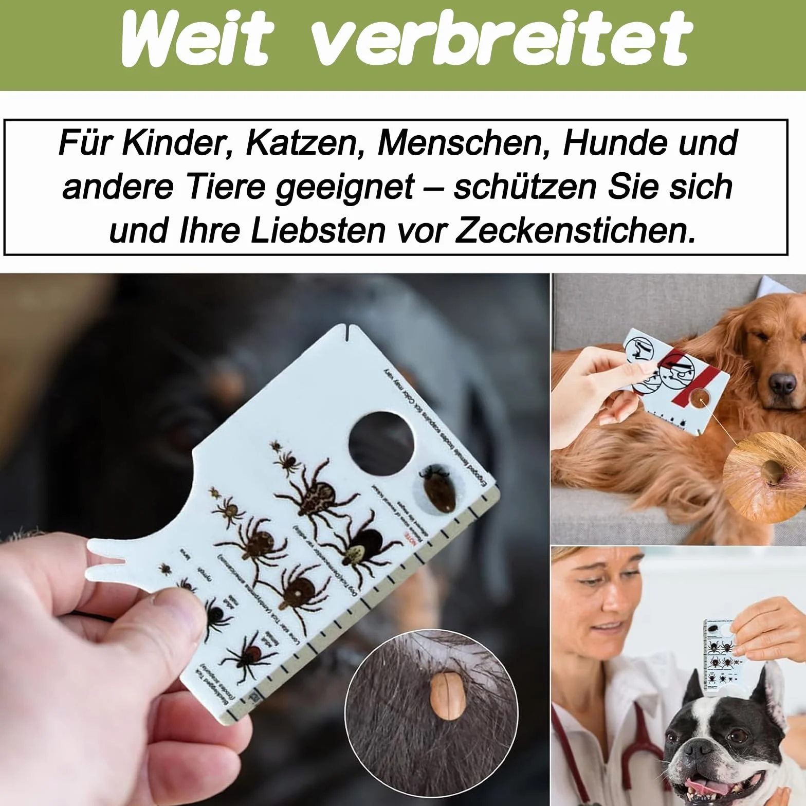 Carte De Retrait De Tiques - Tire-Tique Avec Loupe, Nettoyage Rapide, Pour Humains, Chiens, Chats