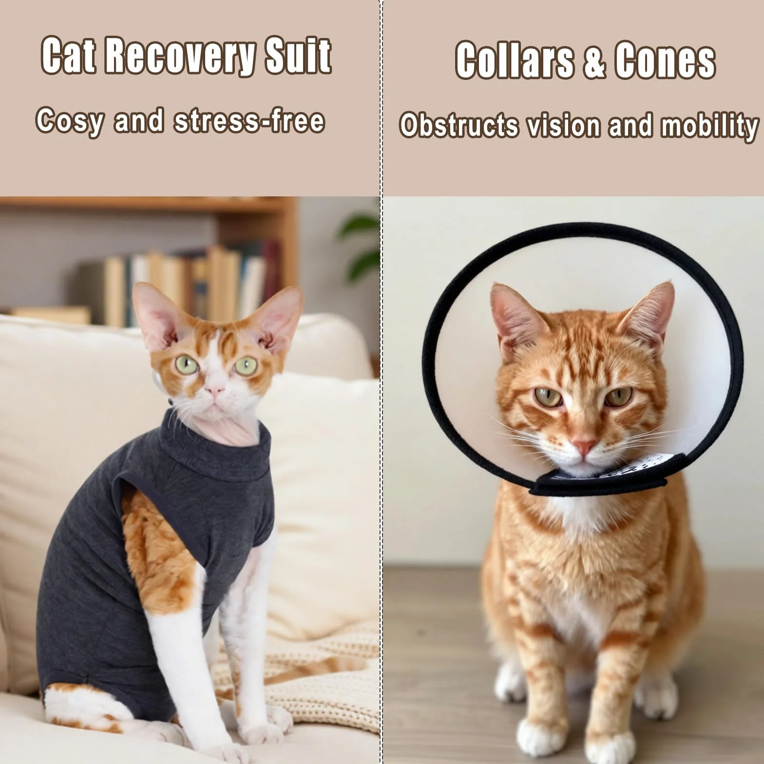 Combinaison de convalescence chirurgicale pour chat - Body anti-léchage avec fermeture éclair post-opératoire