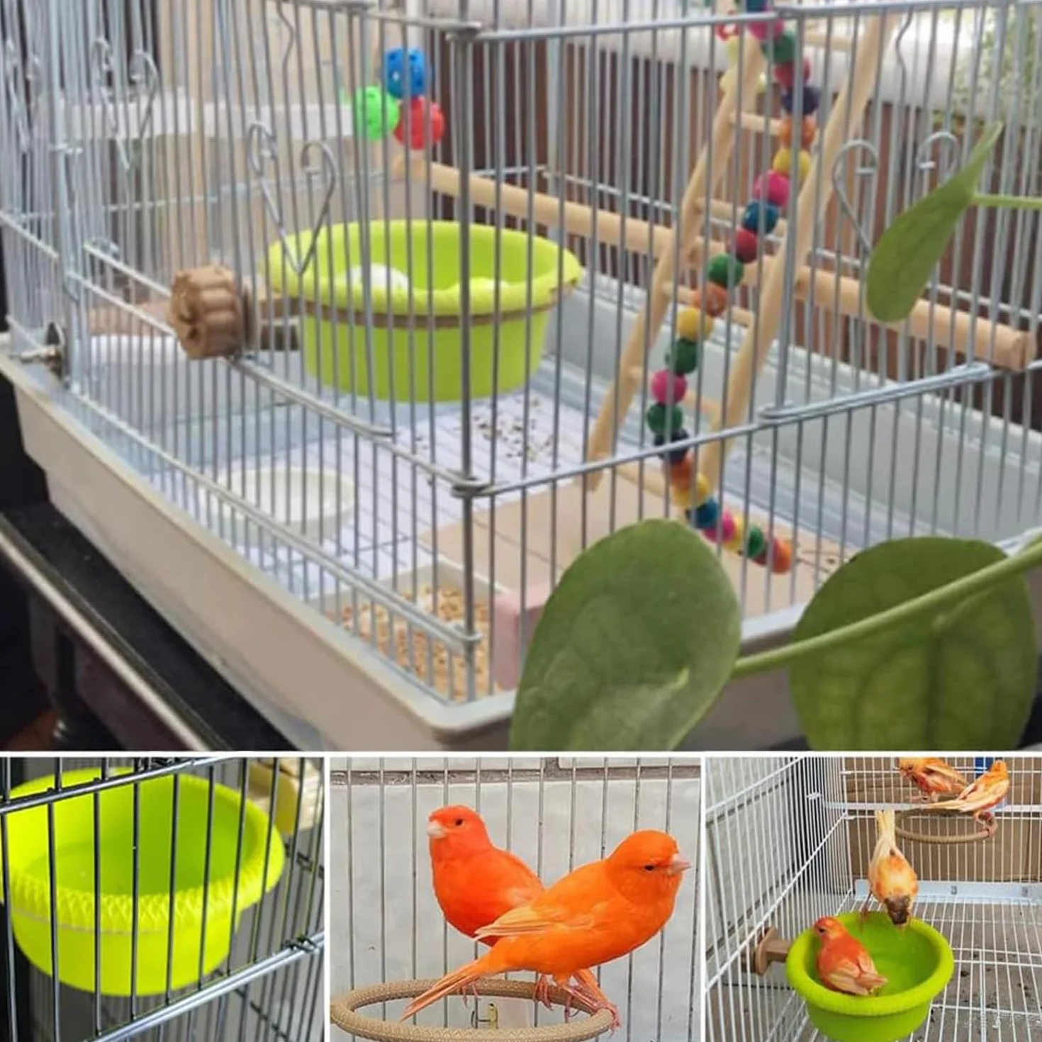 MEISO Baignoire Suspendue Pour Oiseaux, Douche Perroquets Canaris, Accessoire Cage Plastique