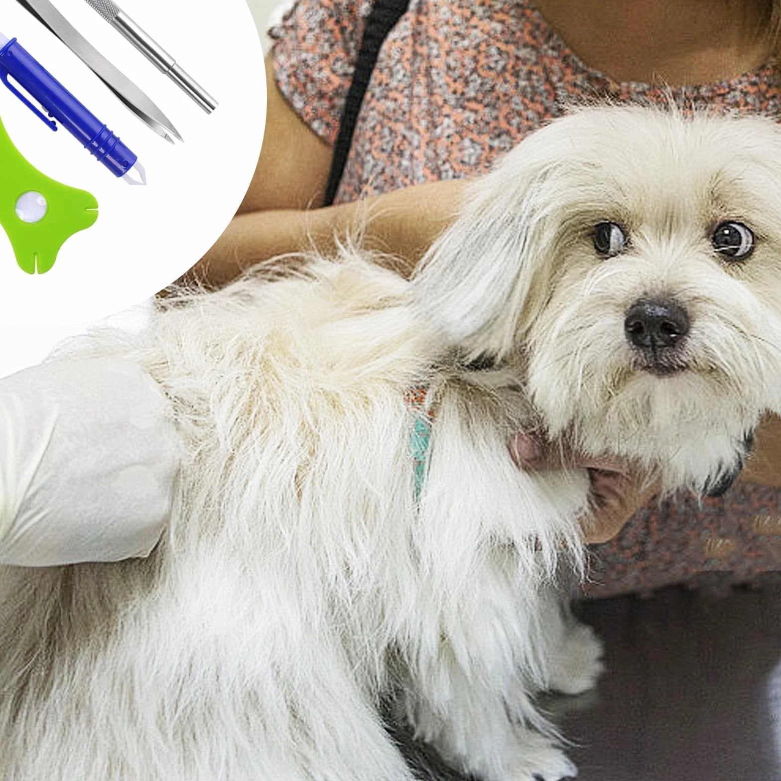 Pince à Tiques, 6 Pièces Pince à Tique Chien, Pince-Anti Tique, avec Loupe et Sac de Rangement, Idéales pour Retirer Les Tiques, Les Poux et Saletés