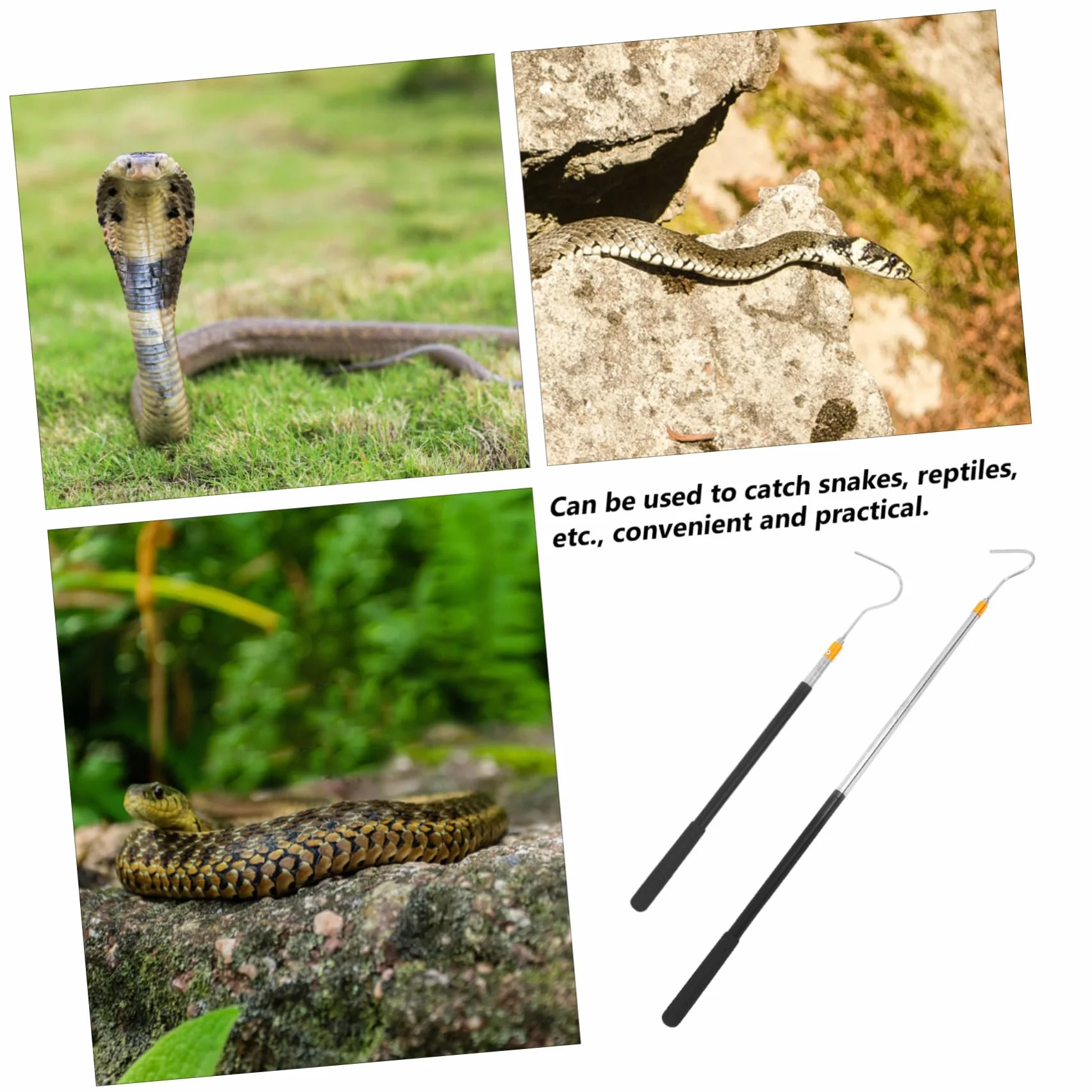 Homoyoyo Attrape-Serpents Crochet Télescopique Outil de Capture Perche Multi Fonctionnelle Ajustable Manipulation Reptiles