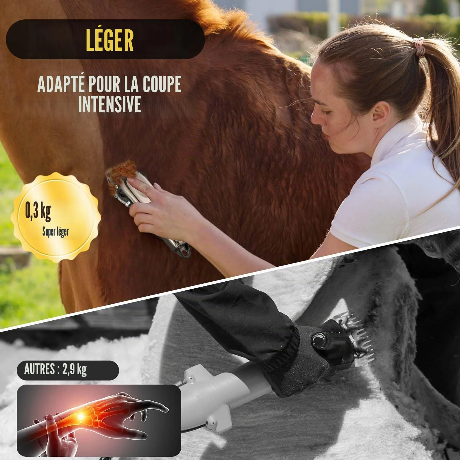 Tondeuse Sans Fil Professionnelle pour Chevaux - Électrique Rechargeable Toilettage Silencieuse - Tondeuse Animaux Poil Long - 4 Guides Inclus