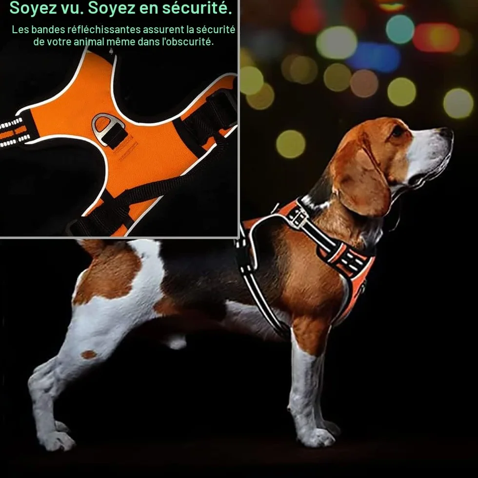 Harnais personnalisé pour chien sans traction avec nom et téléphone, résistant anti-traction anti-étouffement