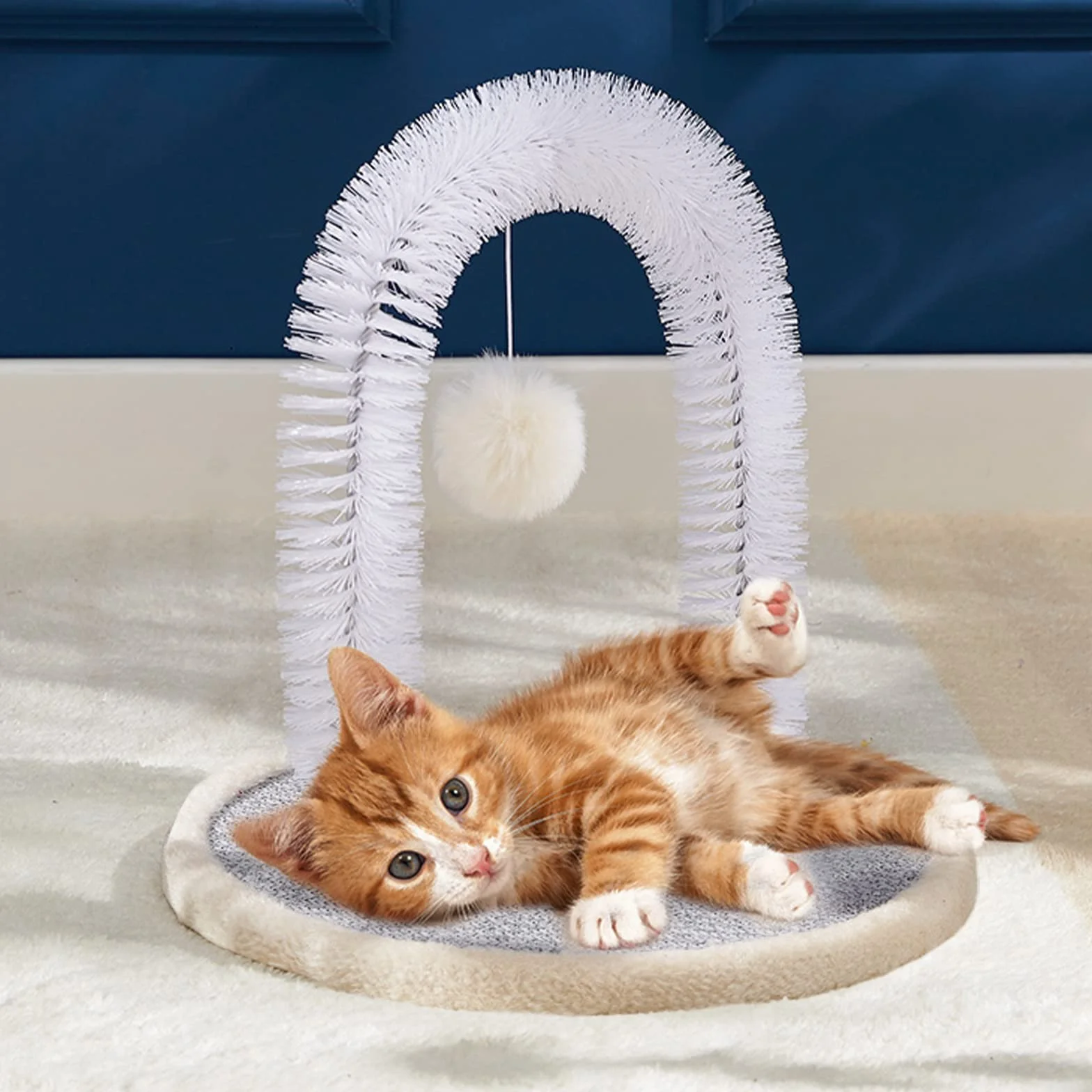 Brosse à poils de visage pour chat, gratte-dos, masseur durable pour chatons