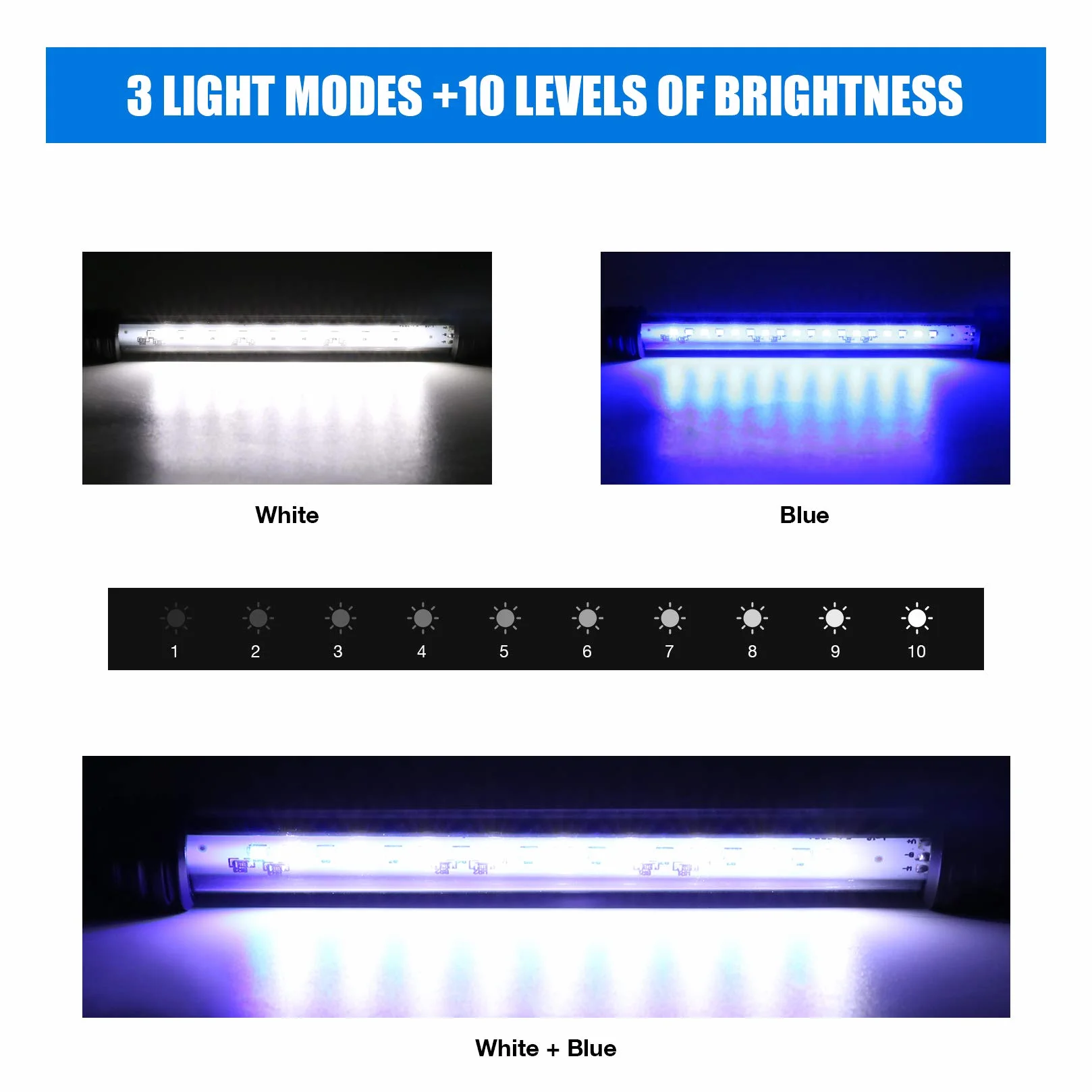 Lampe d'aquarium LED Submersible avec Minuterie Automatique, Éclairage Bleu et Blanc Changeant de Couleur 20-40cm