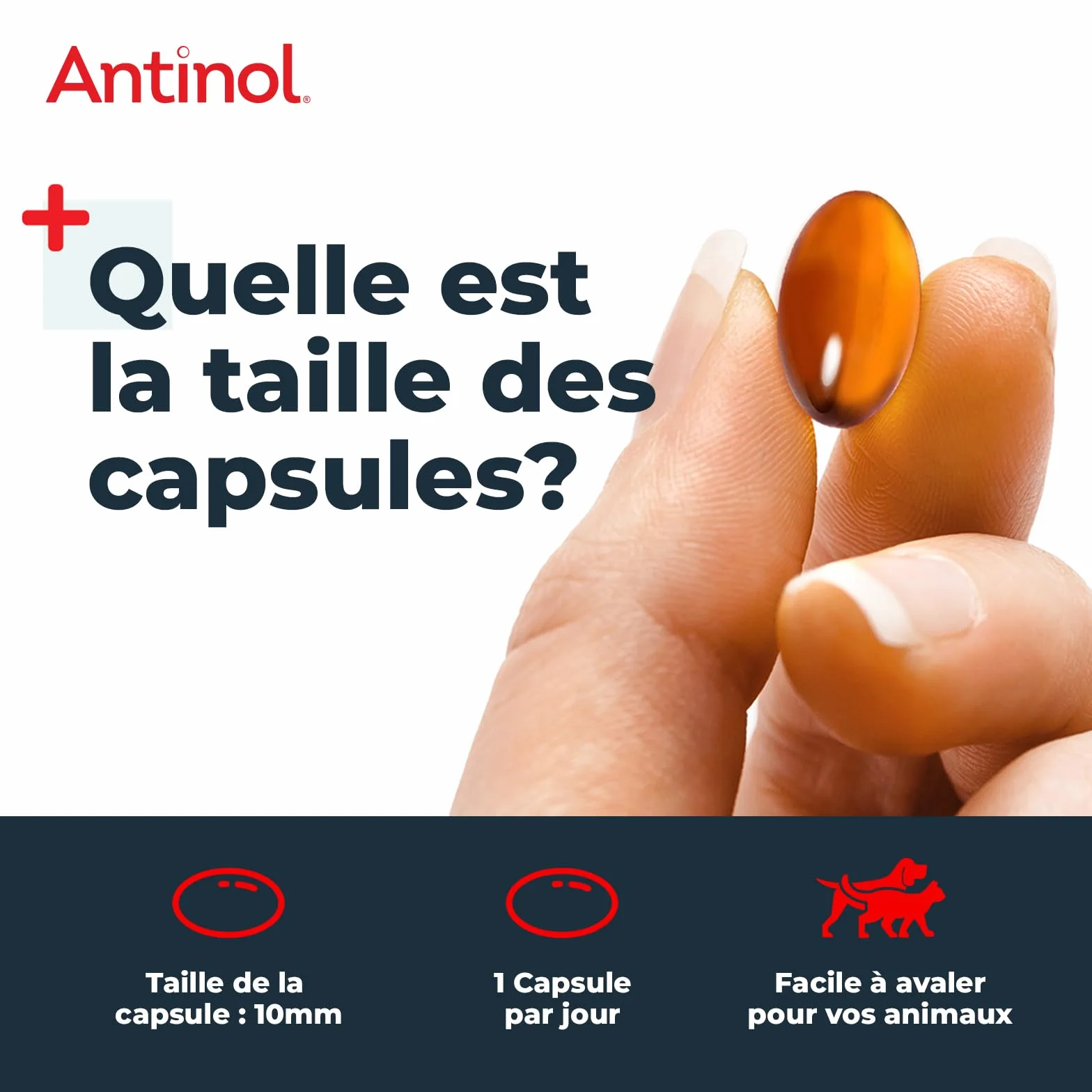Antinol Complément Naturel des Chats Adultes Articulations Peau Huîtres Vertes Oméga 3 Vitamine E 90 Capsules