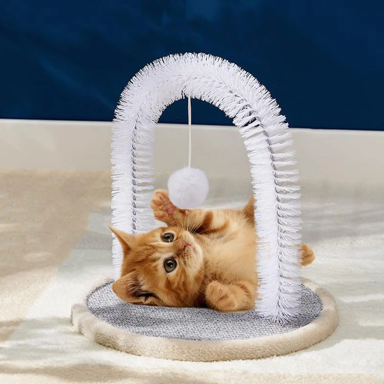 Brosse à poils de visage pour chat, gratte-dos, masseur durable pour chatons