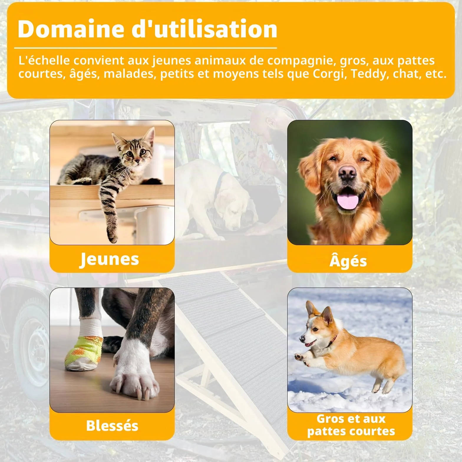 Escalier pour chien pliable en bois avec tapis antidérapant 100 cm pour petits chiens et chats