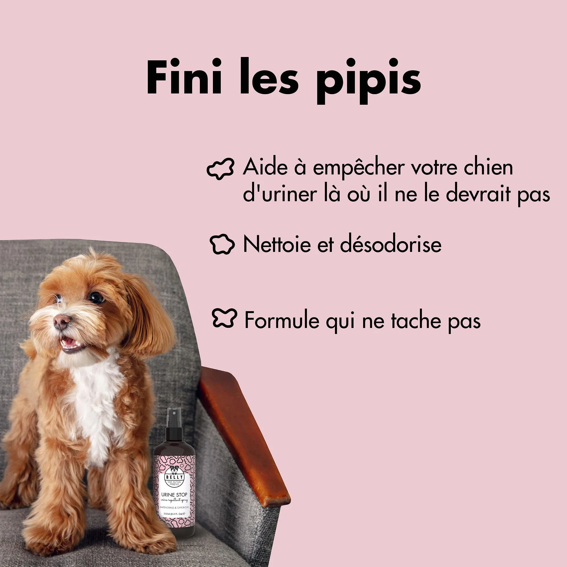 Belly Anti Marquage Urinaire pour Chien 250ml Spray Non Tachant Action Longue Durée