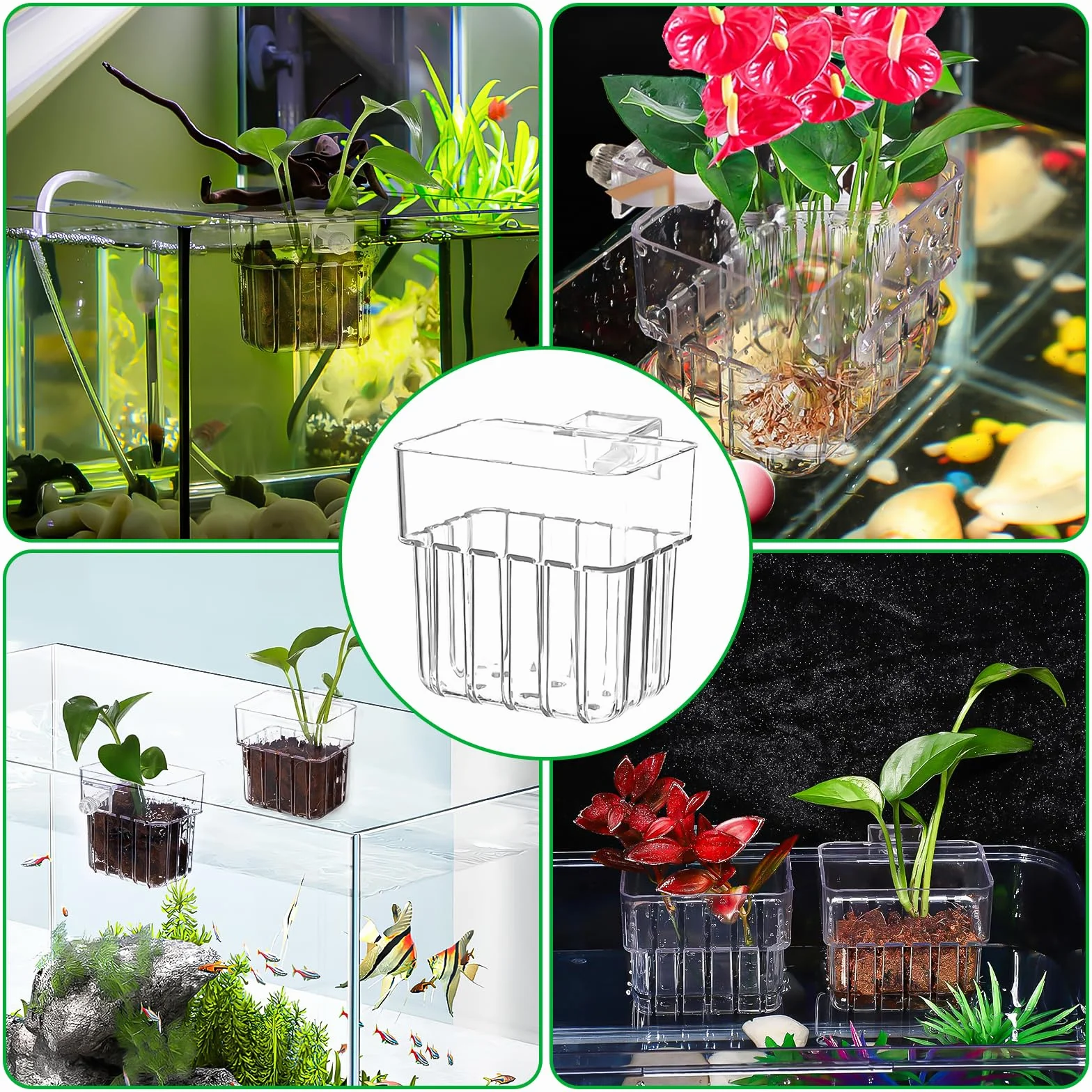 Support de Plante D'Aquarium Transparent, 4 Stück, Suspendu pour Aquarium Aquascape Décoration