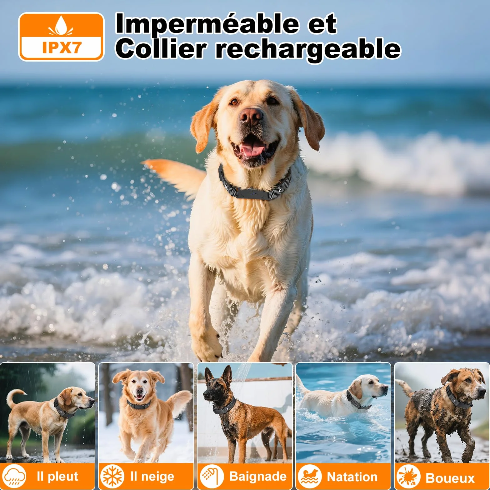 Collier de Dressage pour Chien IPX7 Résistant à L'Eau, 4 Modes avec Verrouillage de Sécurité, Noir